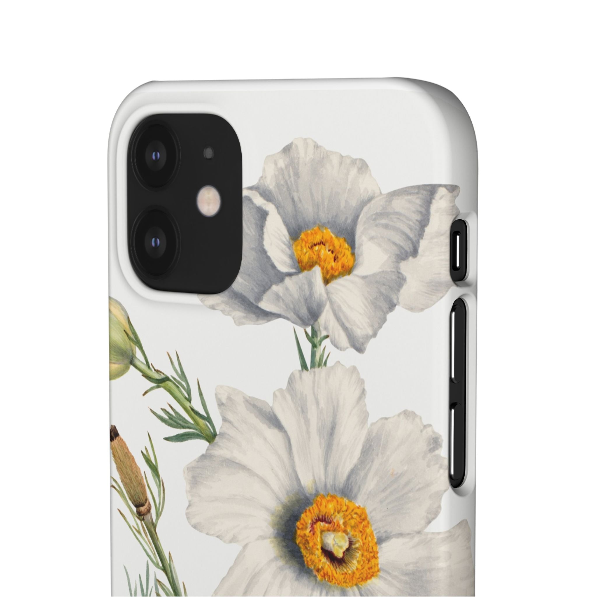 Matilija Poppy by Mary Vaux Walcott - Snap Case