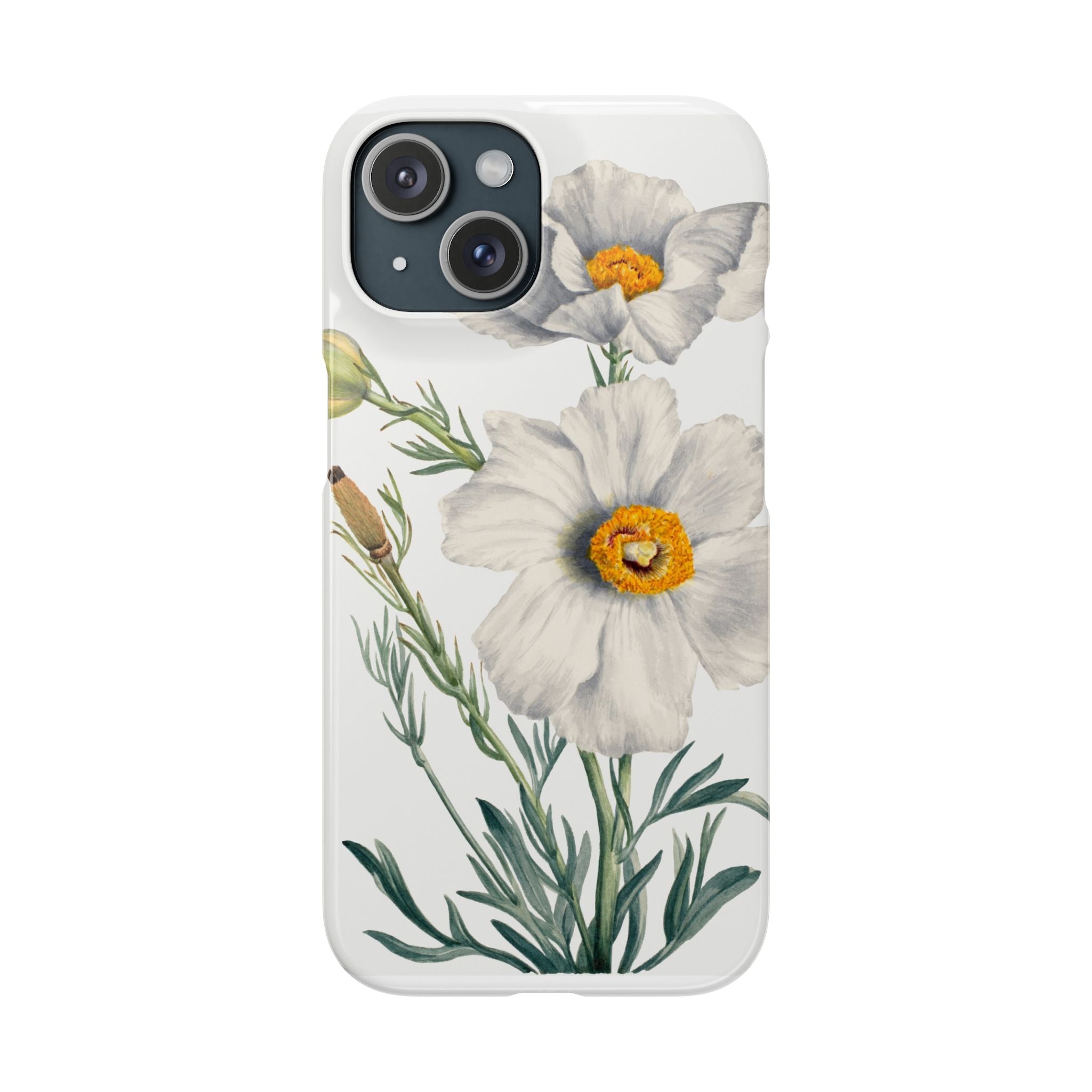 Matilija Poppy by Mary Vaux Walcott - Snap Case