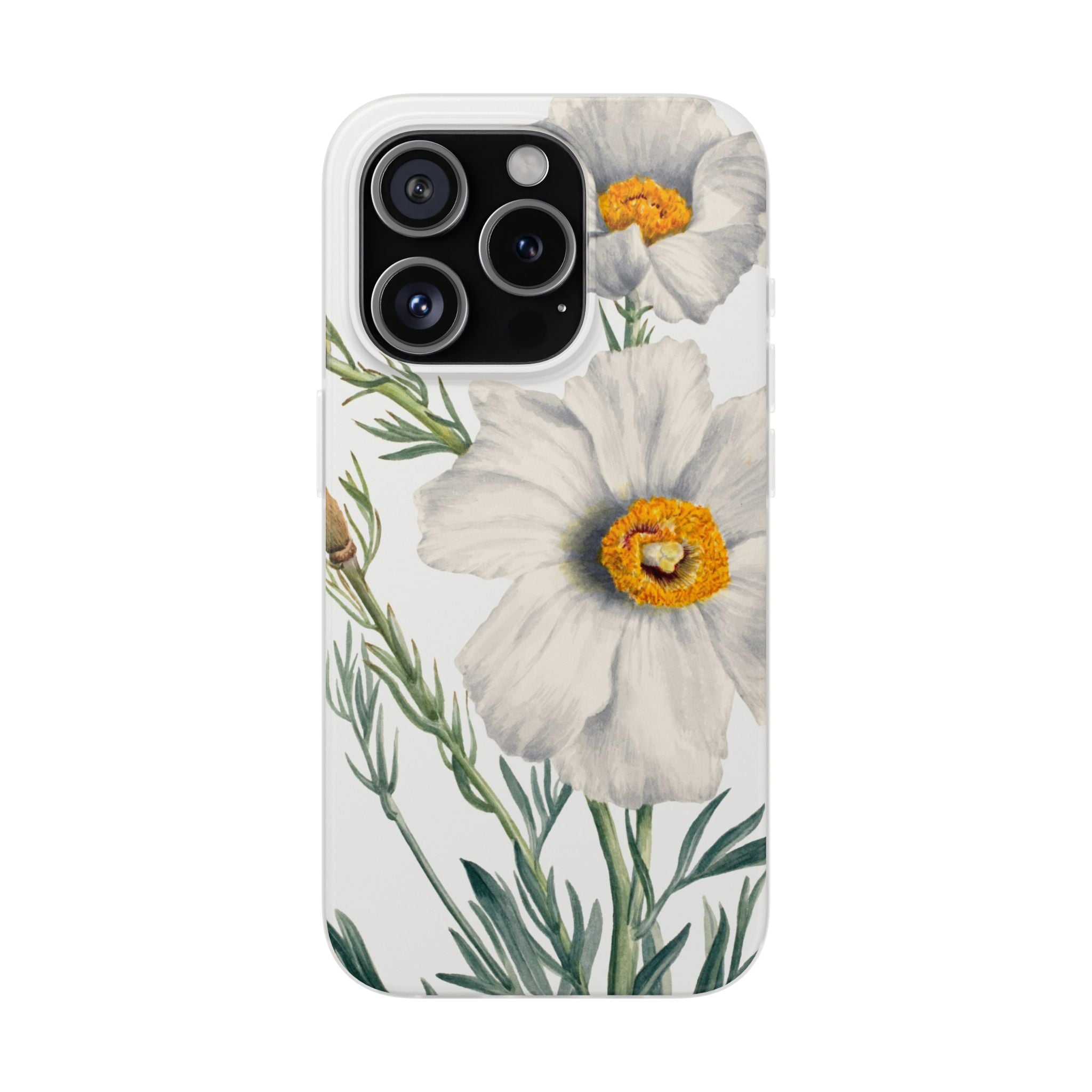 Matilija Poppy by Mary Vaux Walcott - Flexi Case