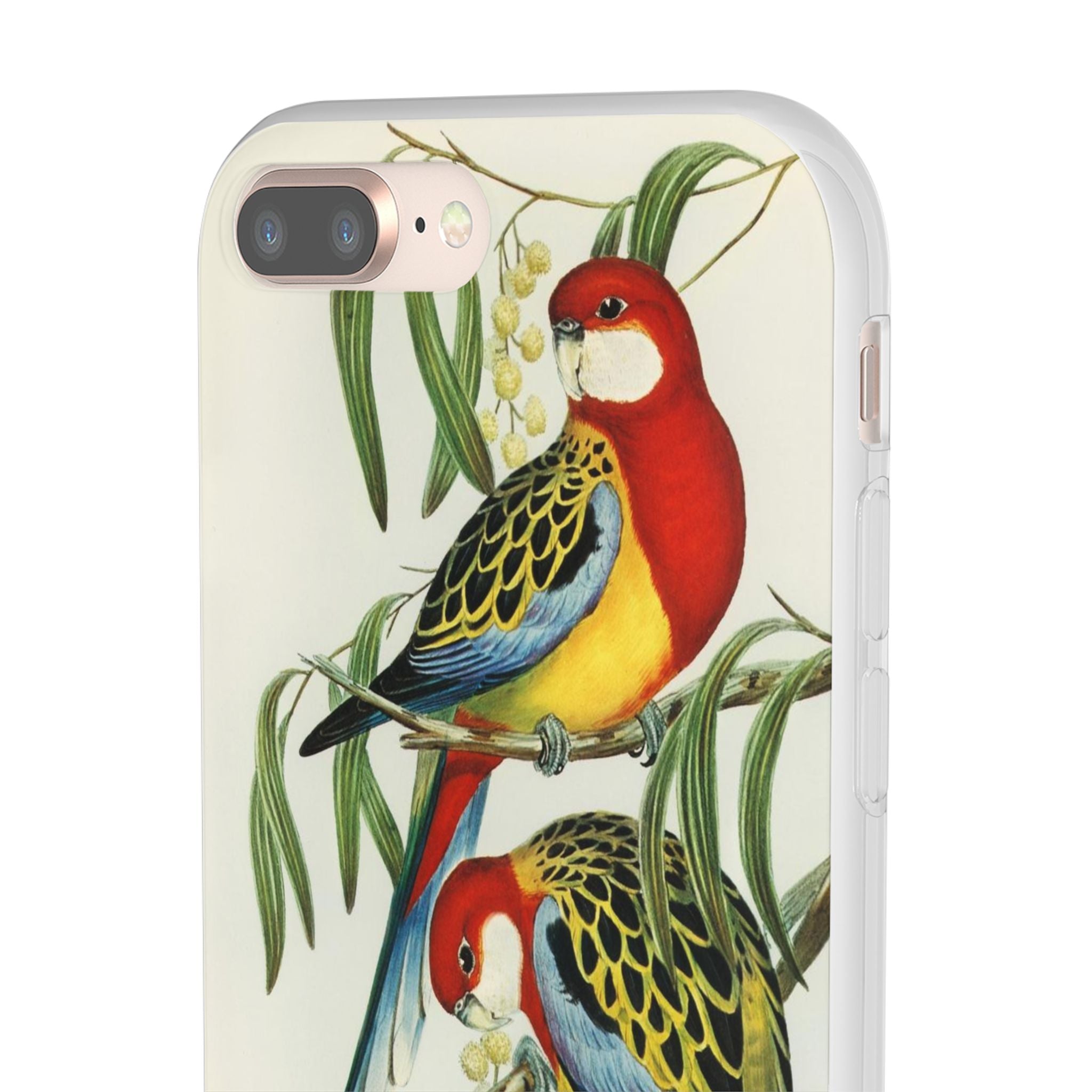 Rosehill Parakeet by Elizabeth Gould - Flexi Case