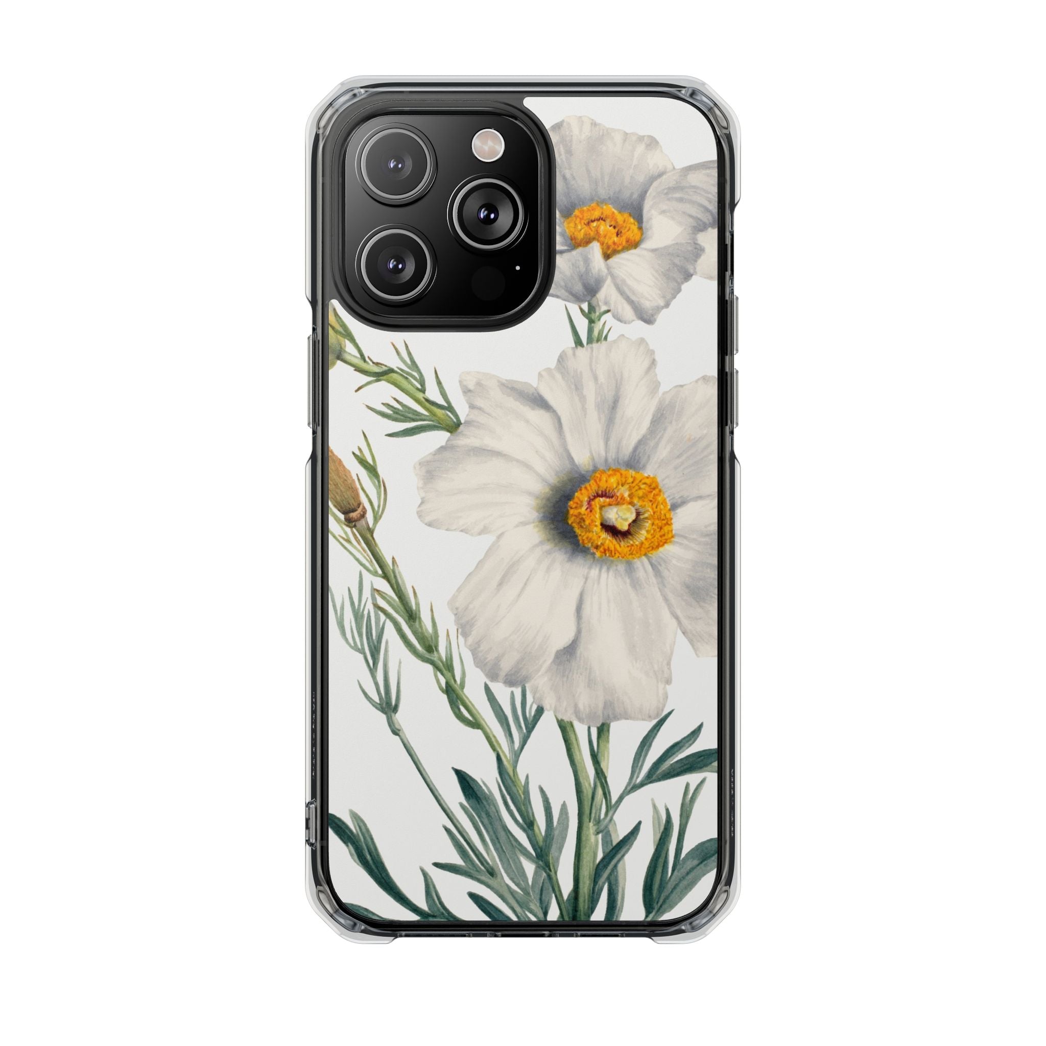 Matilija Poppy by Mary Vaux Walcott - Magnetic Clear Impact Case