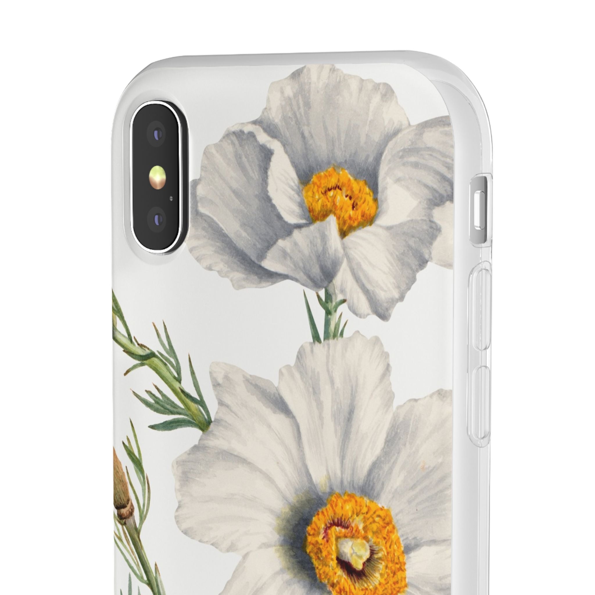 Matilija Poppy by Mary Vaux Walcott - Flexi Case