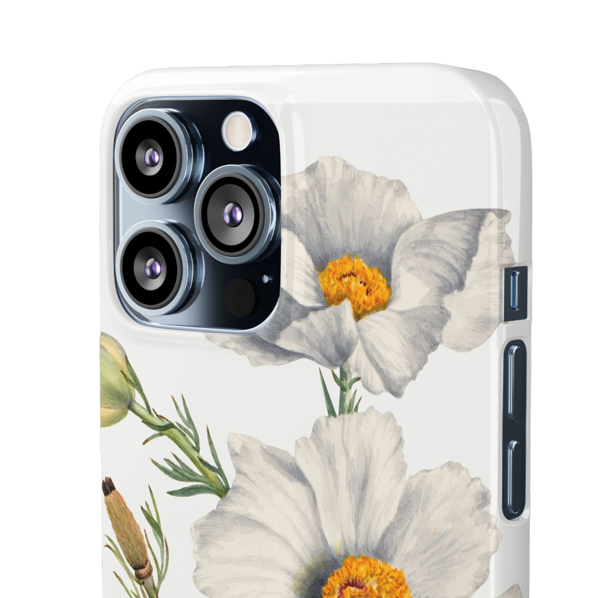 Matilija Poppy by Mary Vaux Walcott - Snap Case