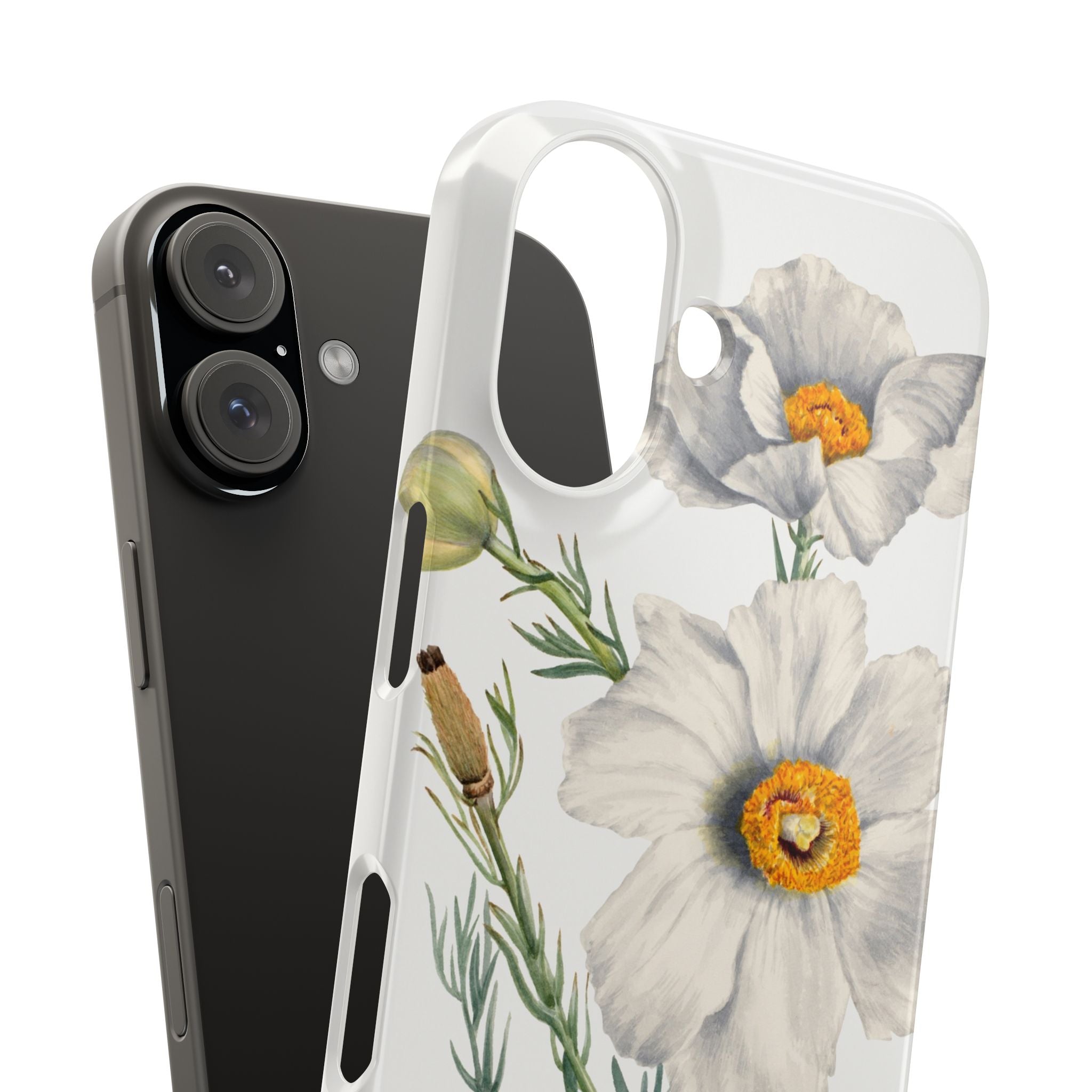 Matilija Poppy by Mary Vaux Walcott - Snap Case