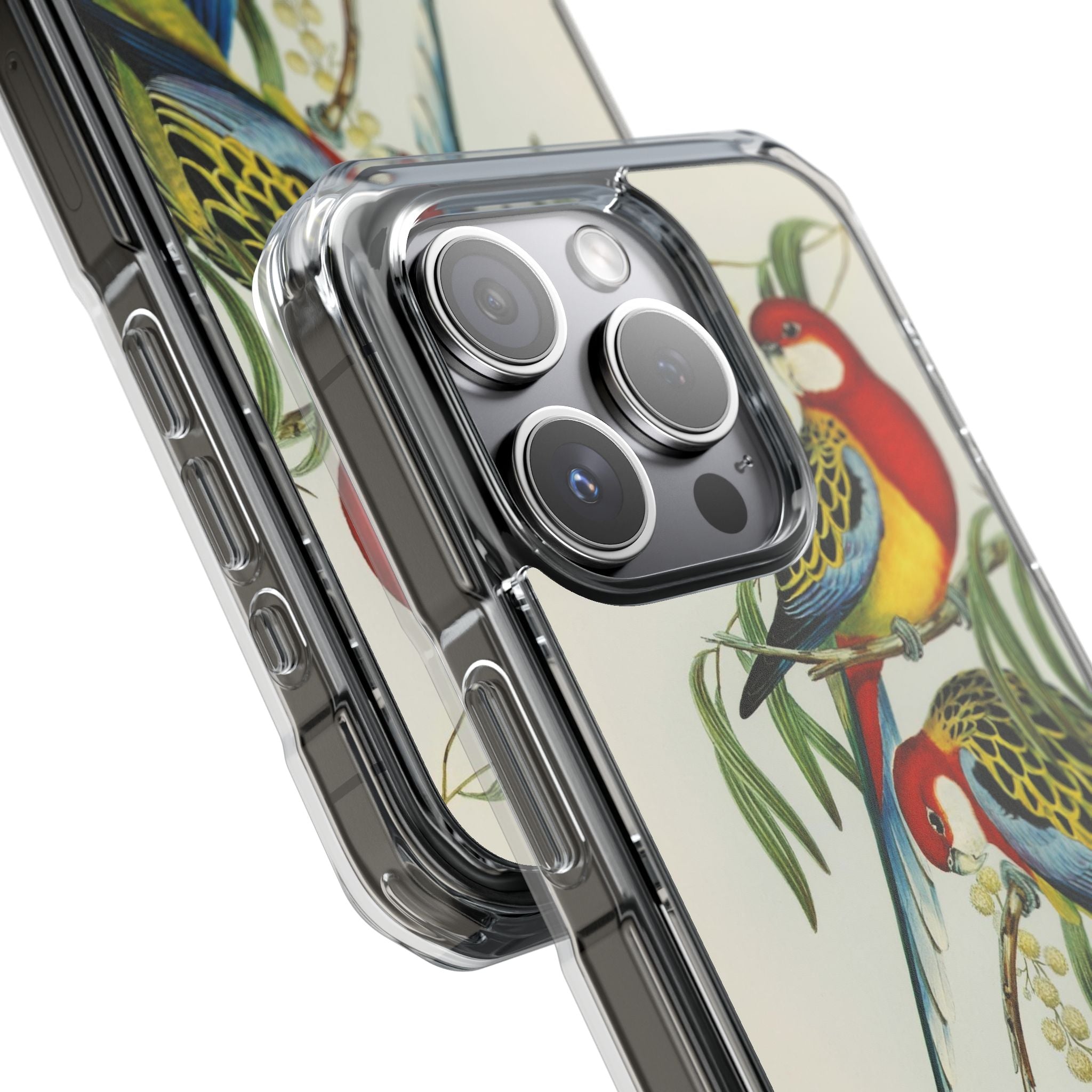 Rosehill Parakeet by Elizabeth Gould - Magnetic Clear Impact Case