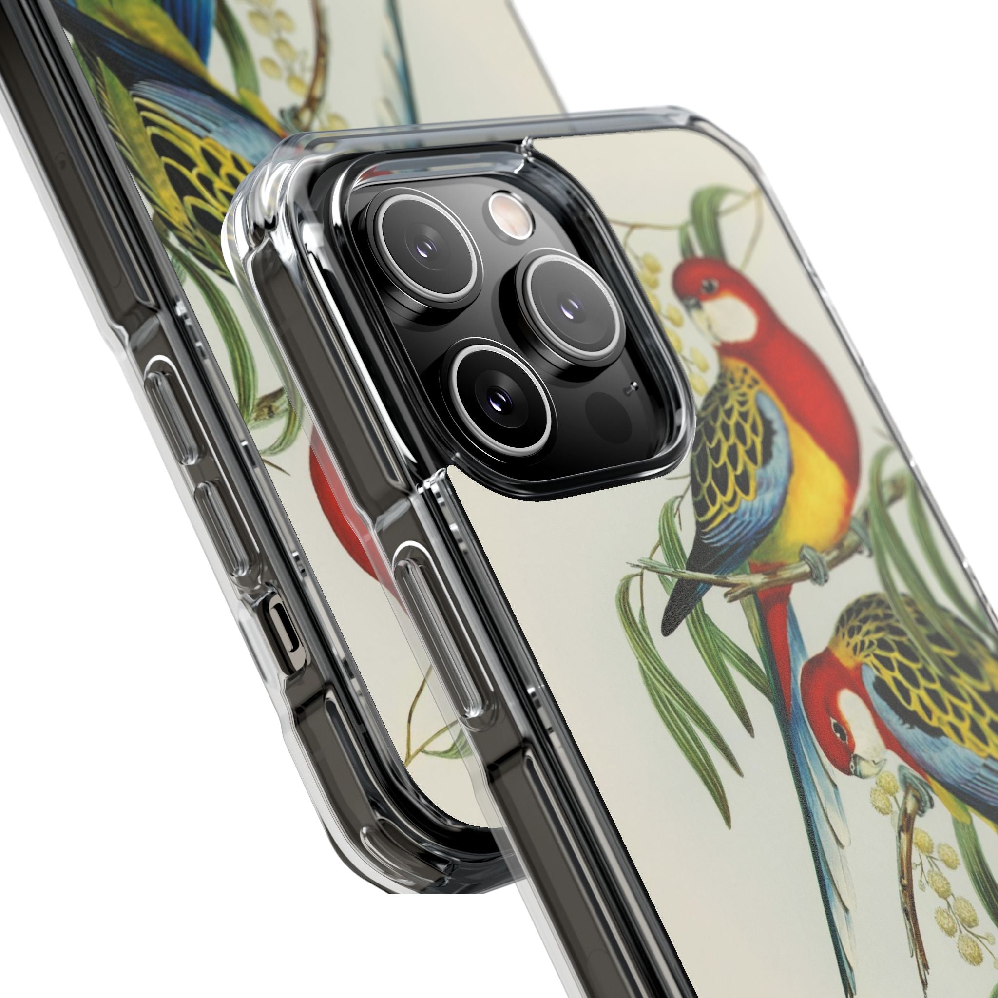 Rosehill Parakeet by Elizabeth Gould - Magnetic Clear Impact Case