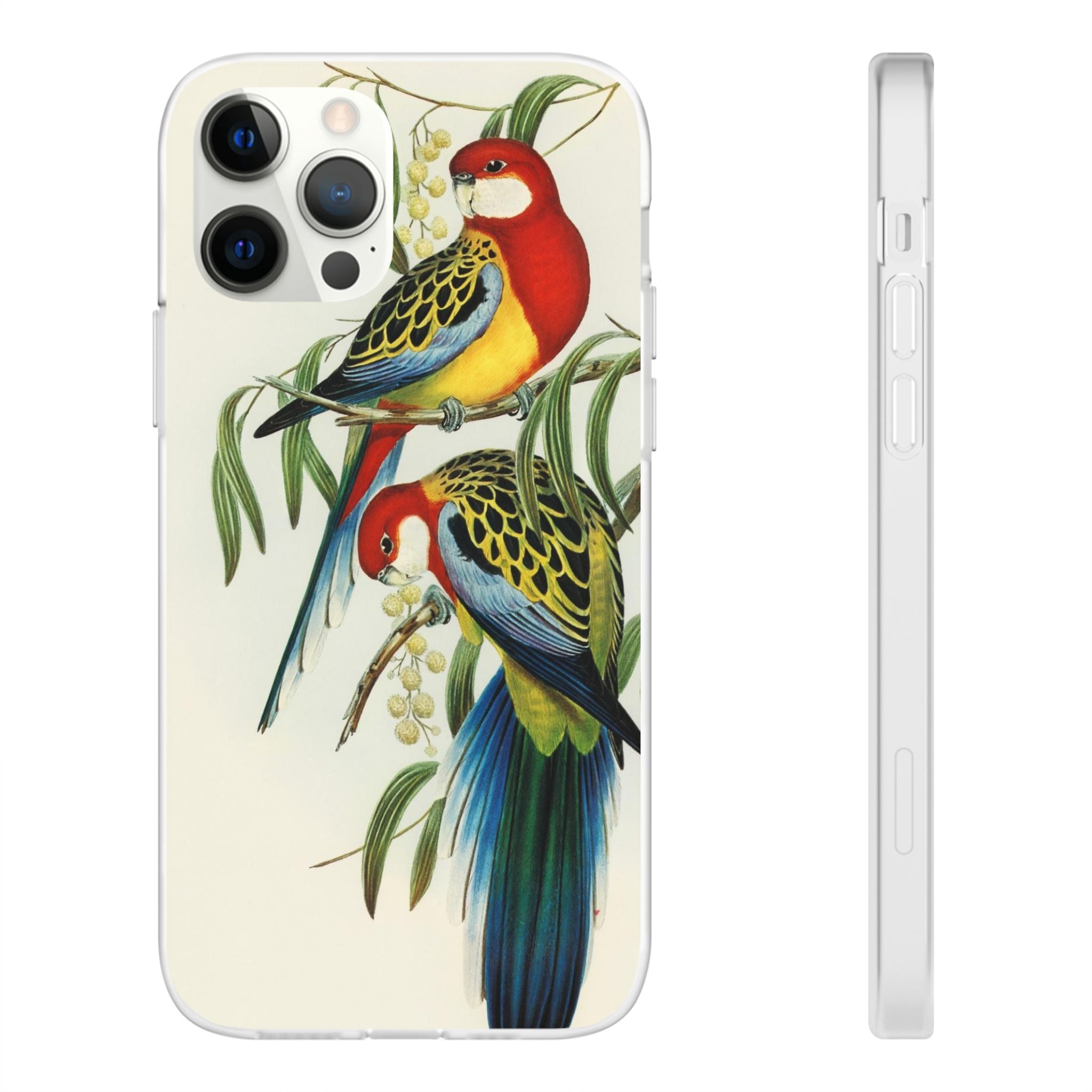 Rosehill Parakeet by Elizabeth Gould - Flexi Case