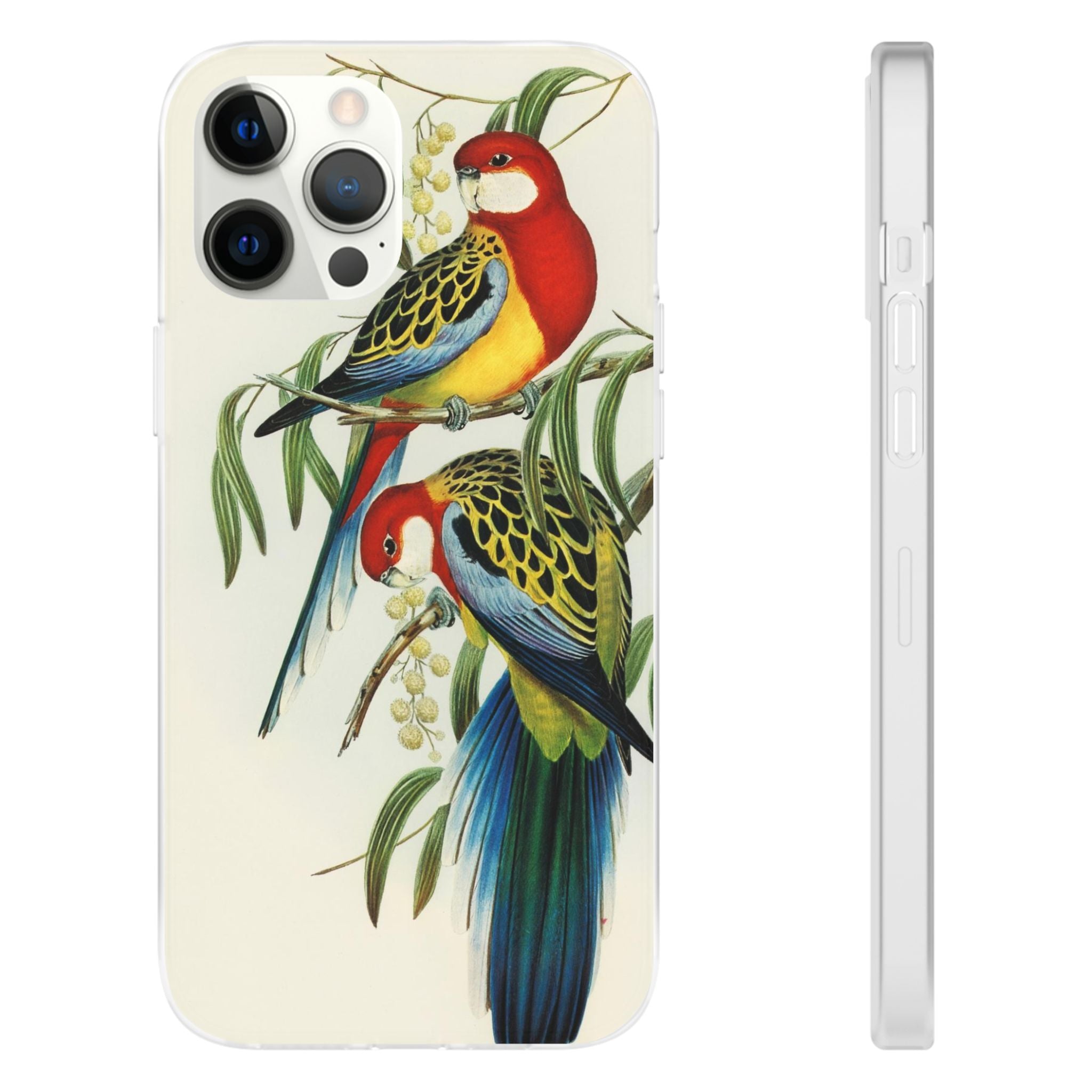 Rosehill Parakeet by Elizabeth Gould - Flexi Case