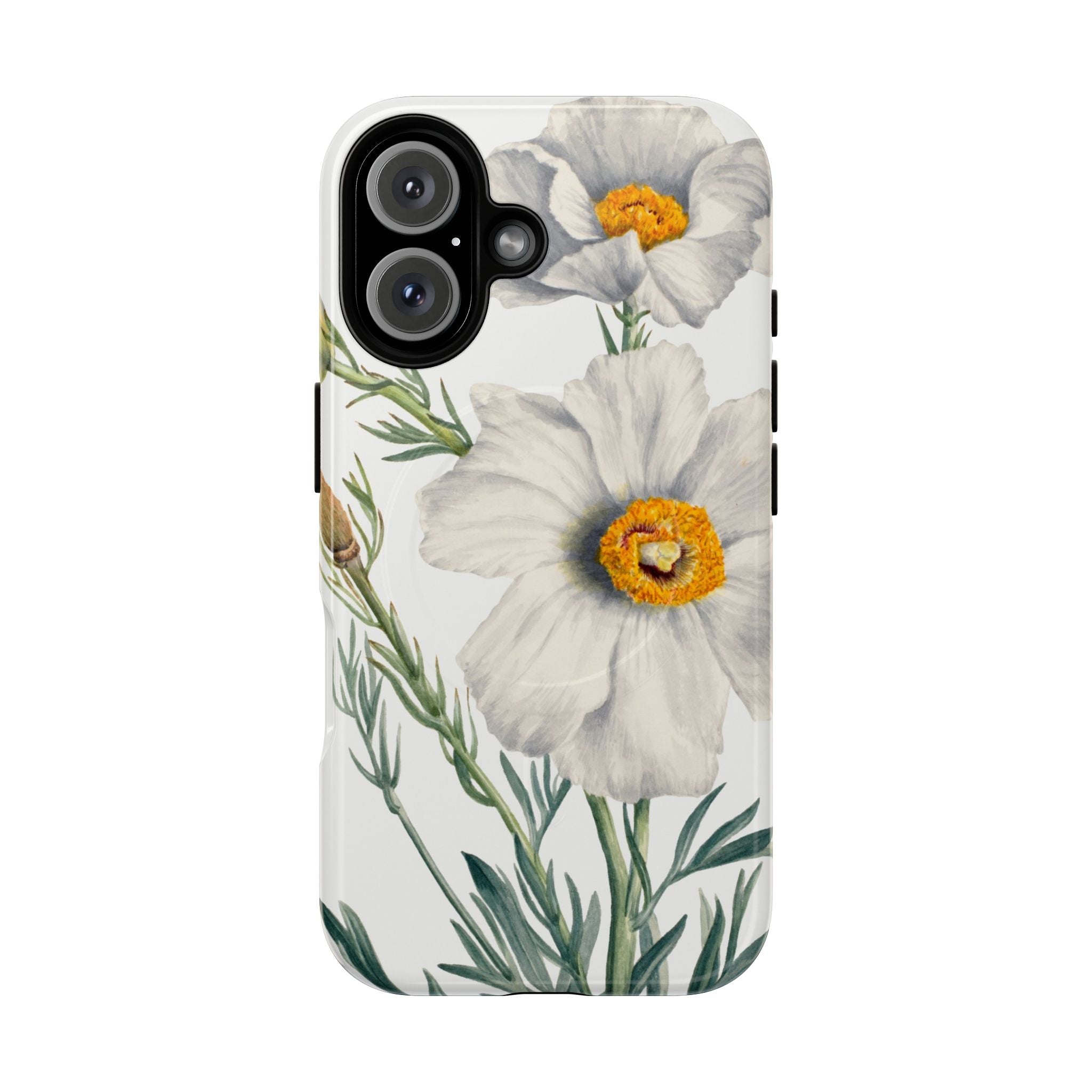 Matilija Poppy by Mary Vaux Walcott - Tough Magnetic Case