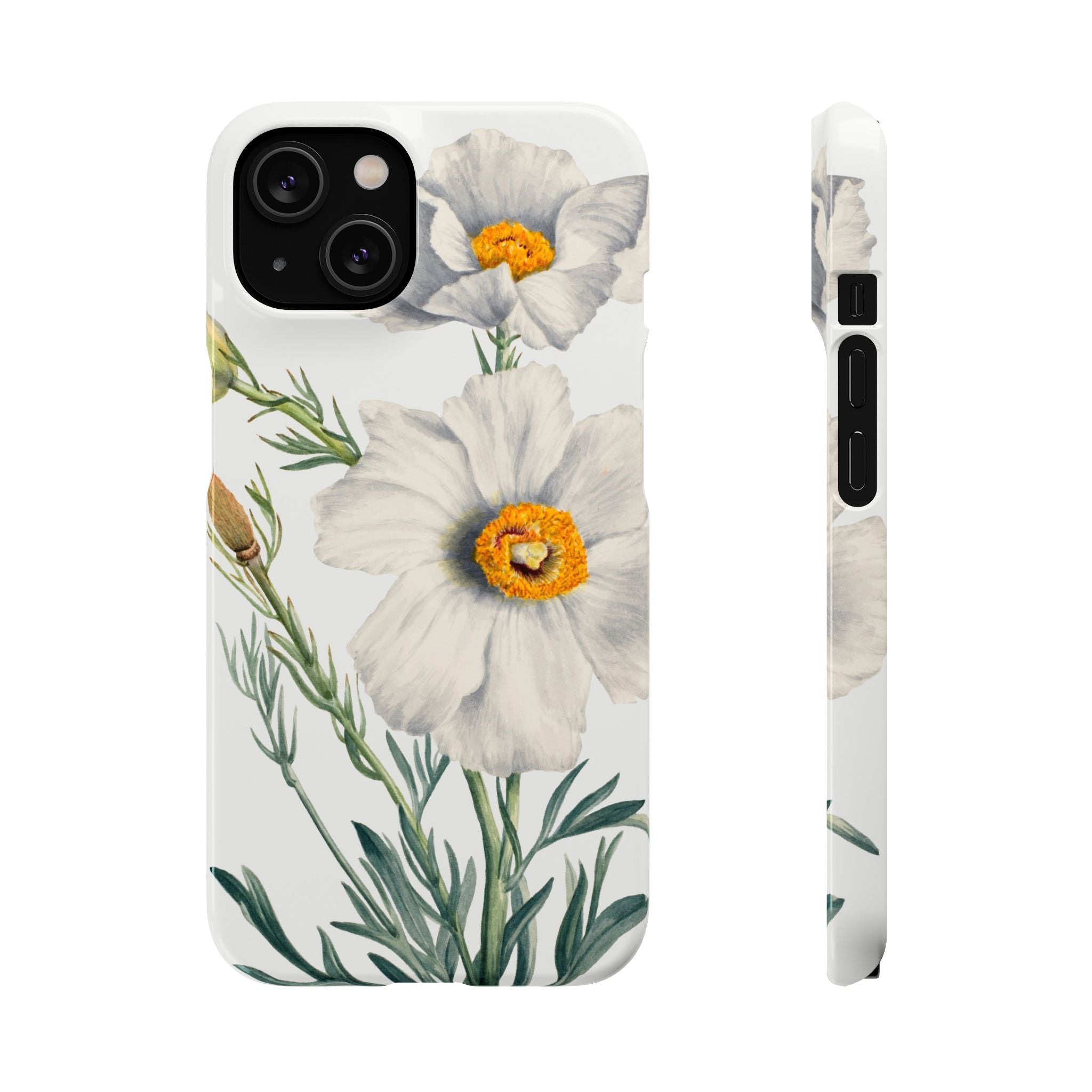 Matilija Poppy by Mary Vaux Walcott - Snap Case