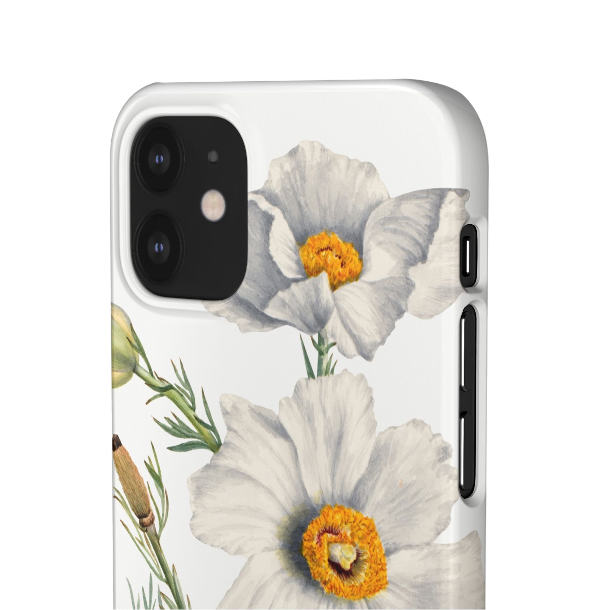 Matilija Poppy by Mary Vaux Walcott - Snap Case