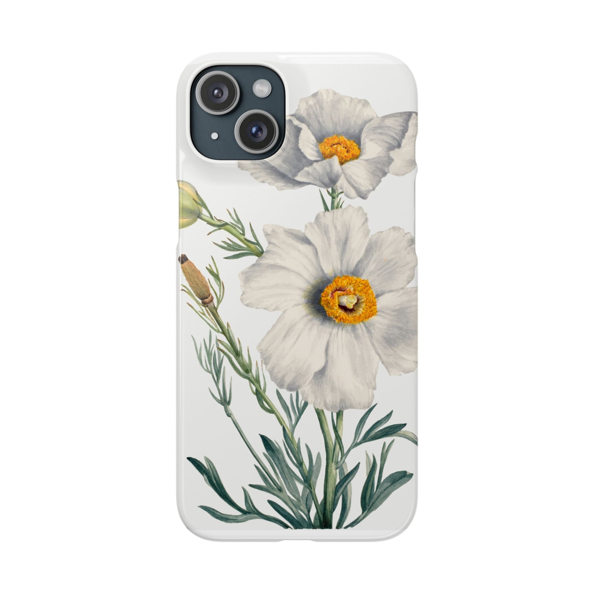 Matilija Poppy by Mary Vaux Walcott - Snap Case