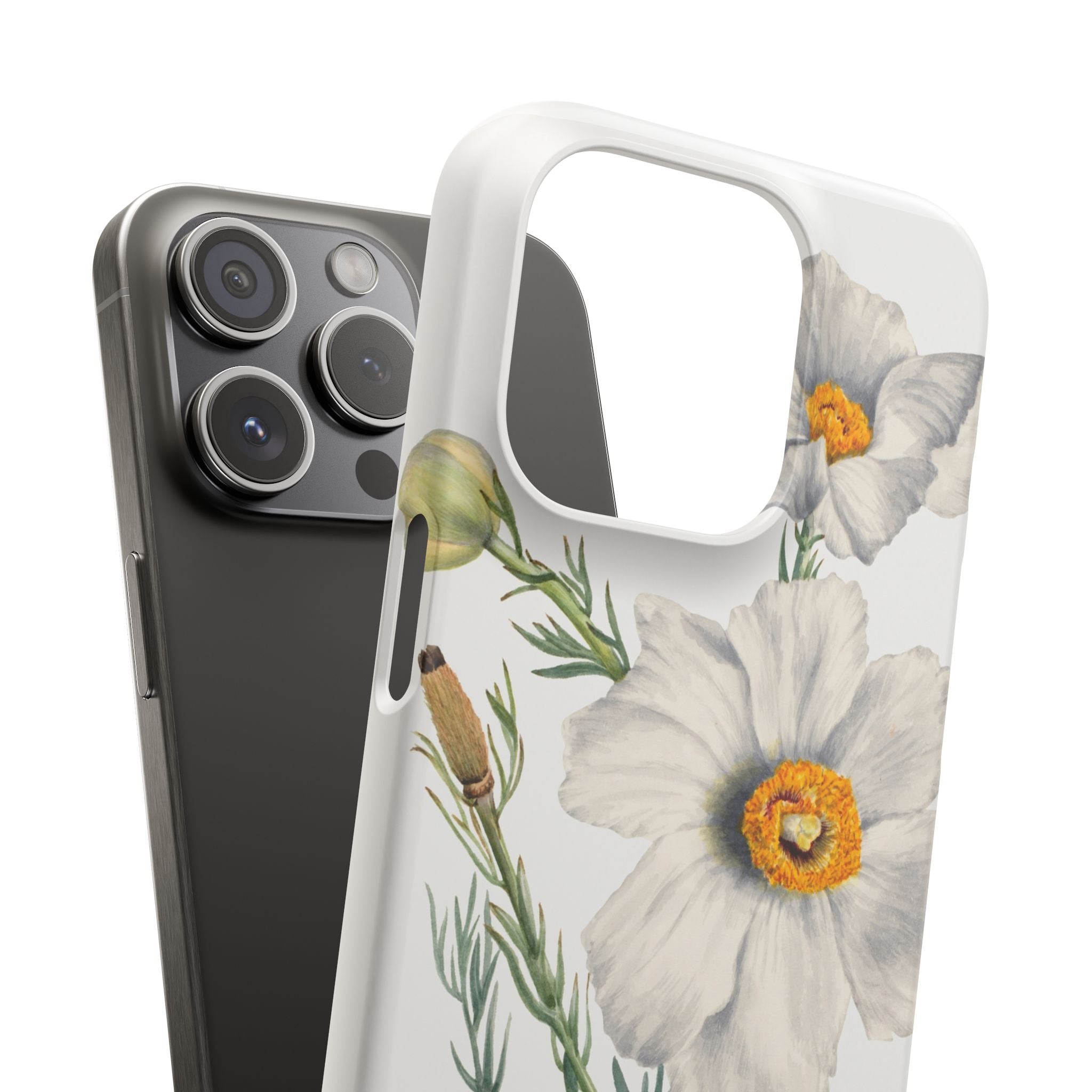 Matilija Poppy by Mary Vaux Walcott - Snap Case