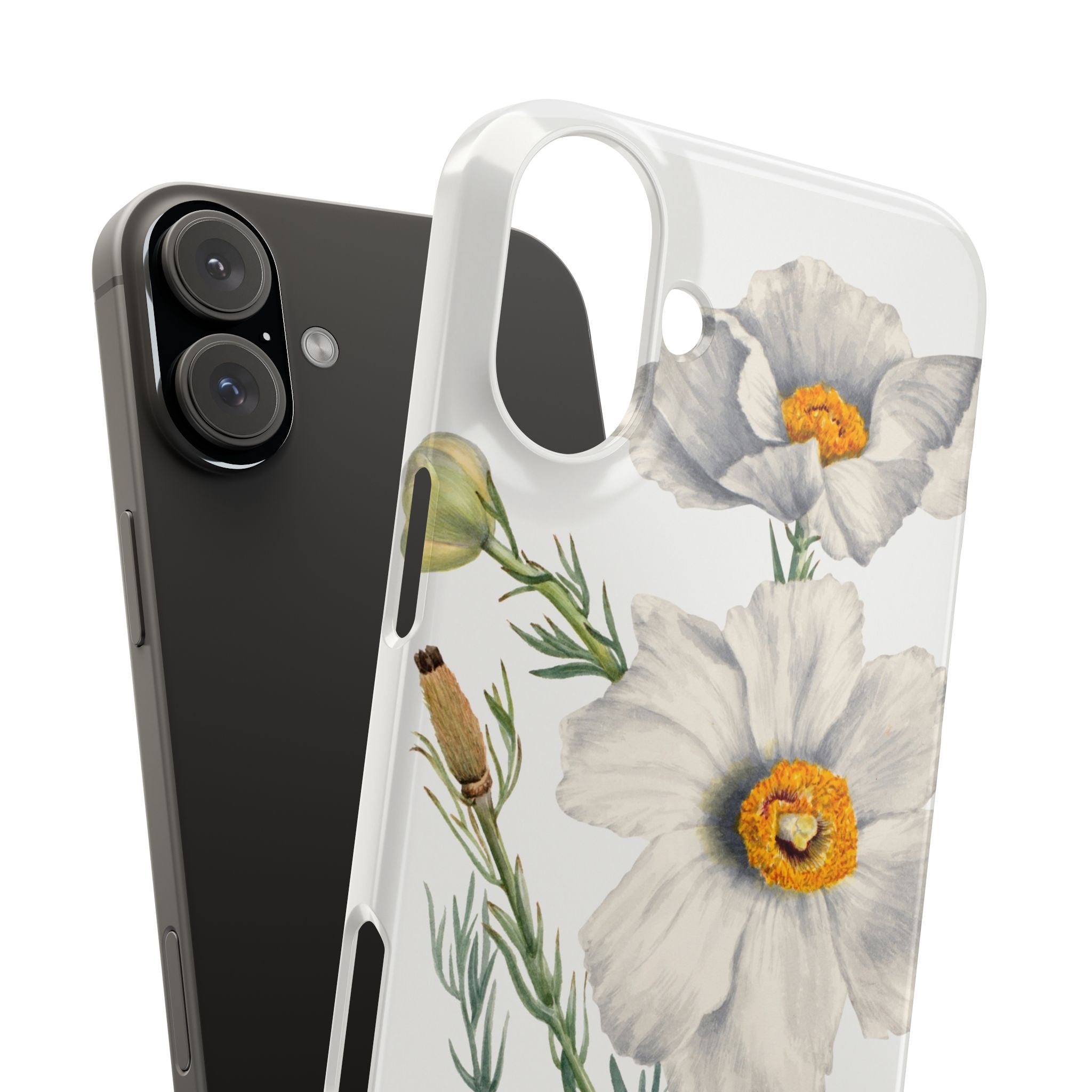 Matilija Poppy by Mary Vaux Walcott - Snap Case