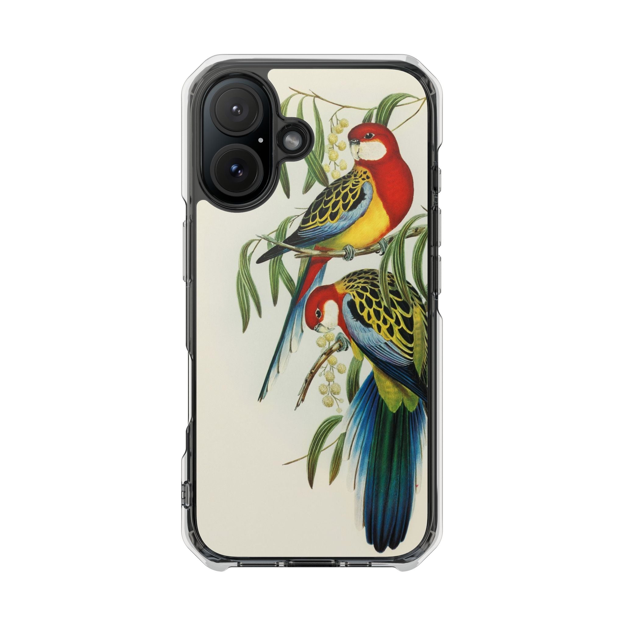 Rosehill Parakeet by Elizabeth Gould - Magnetic Clear Impact Case