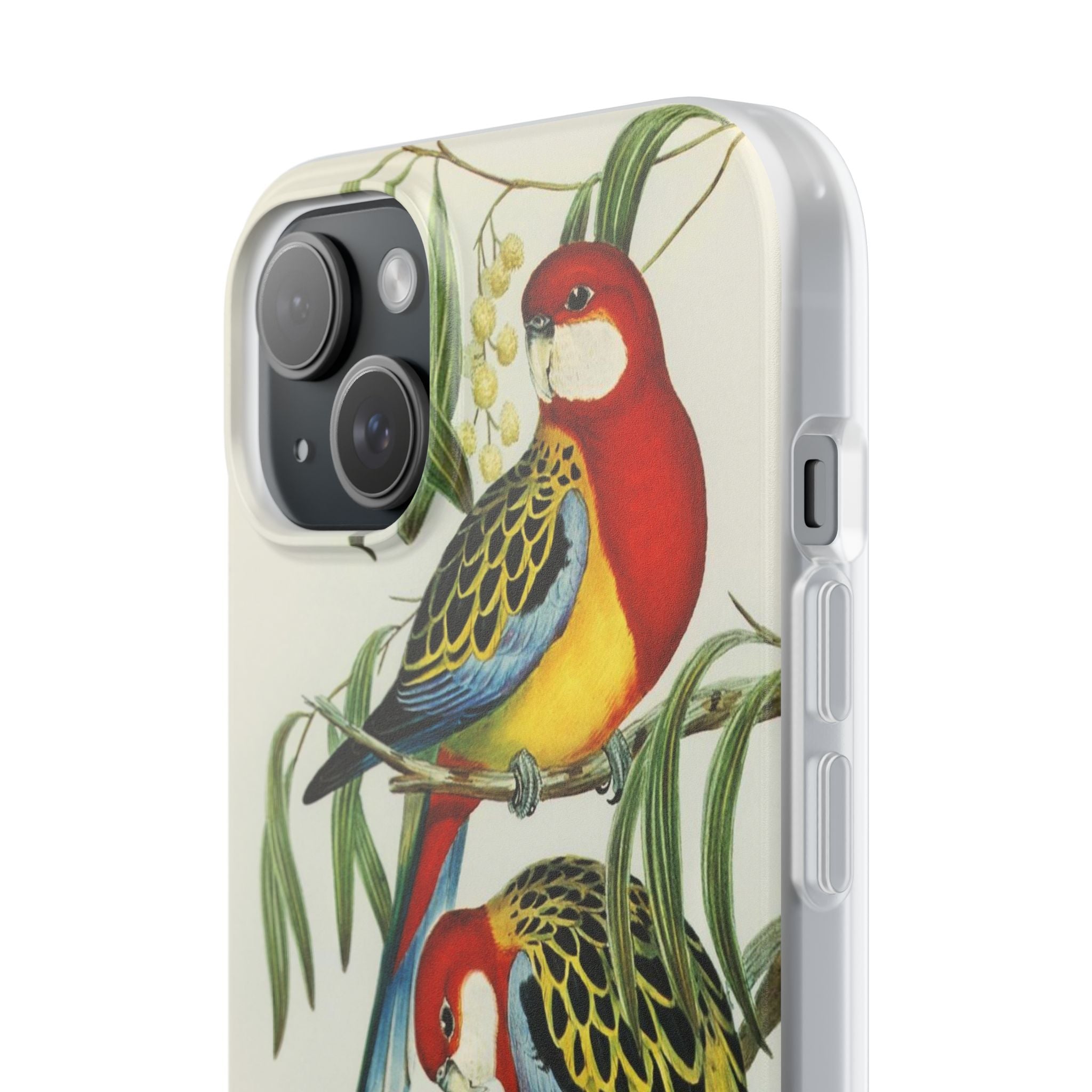 Rosehill Parakeet by Elizabeth Gould - Flexi Case