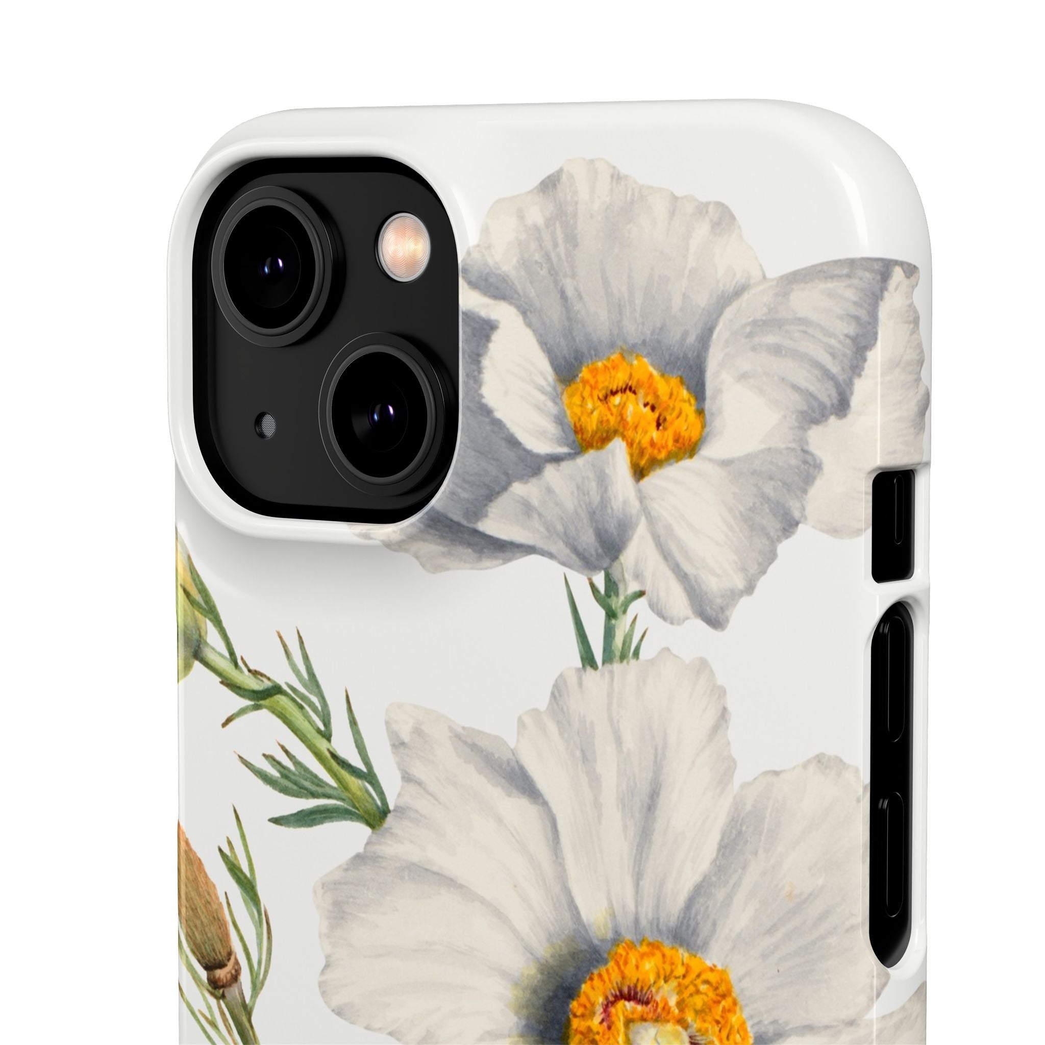 Matilija Poppy by Mary Vaux Walcott - Snap Case