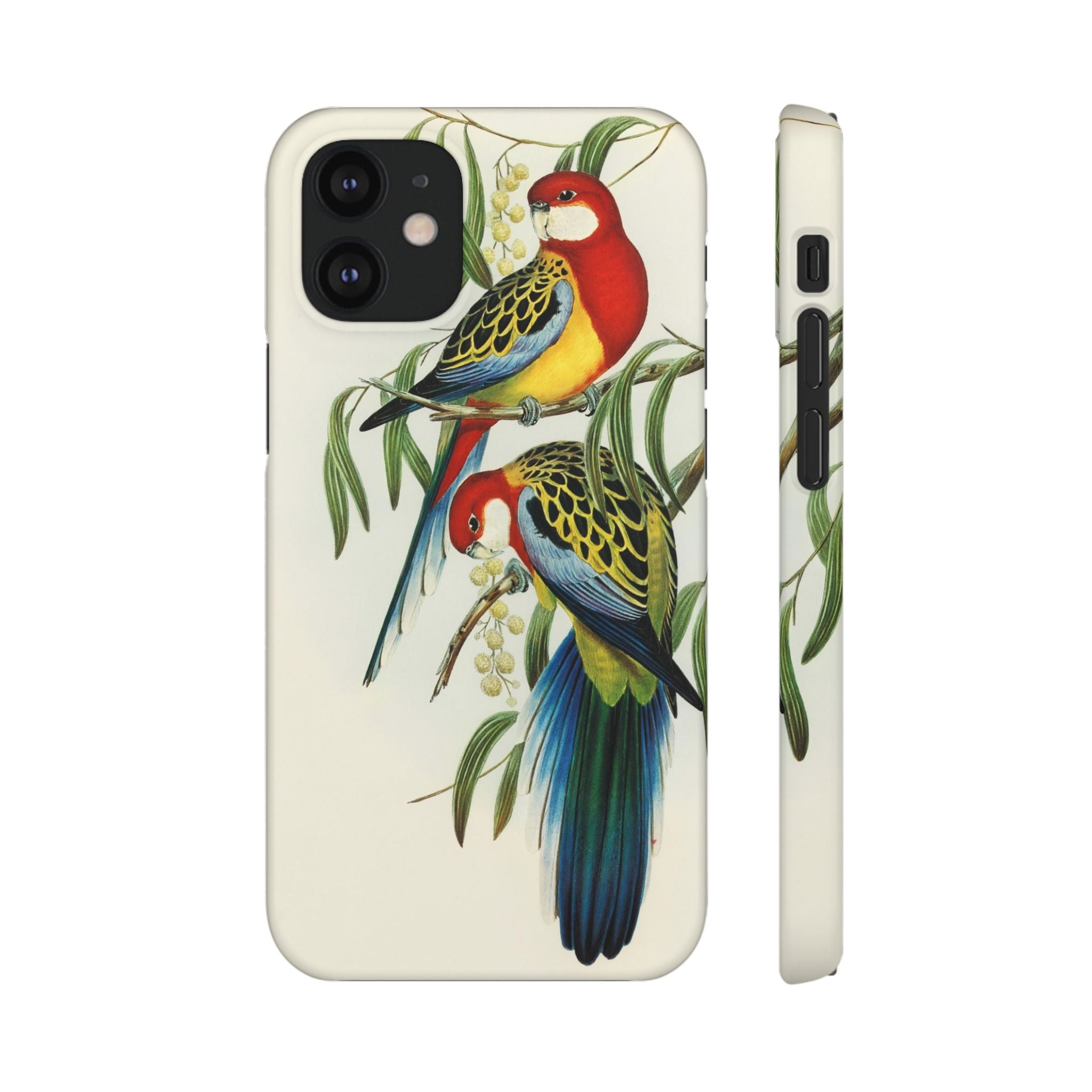 Rosehill Parakeet by Elizabeth Gould - Snap Case