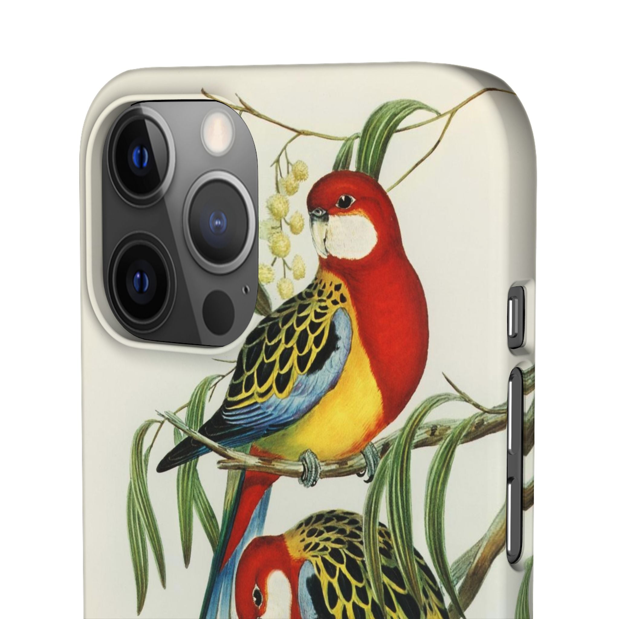 Rosehill Parakeet by Elizabeth Gould - Snap Case