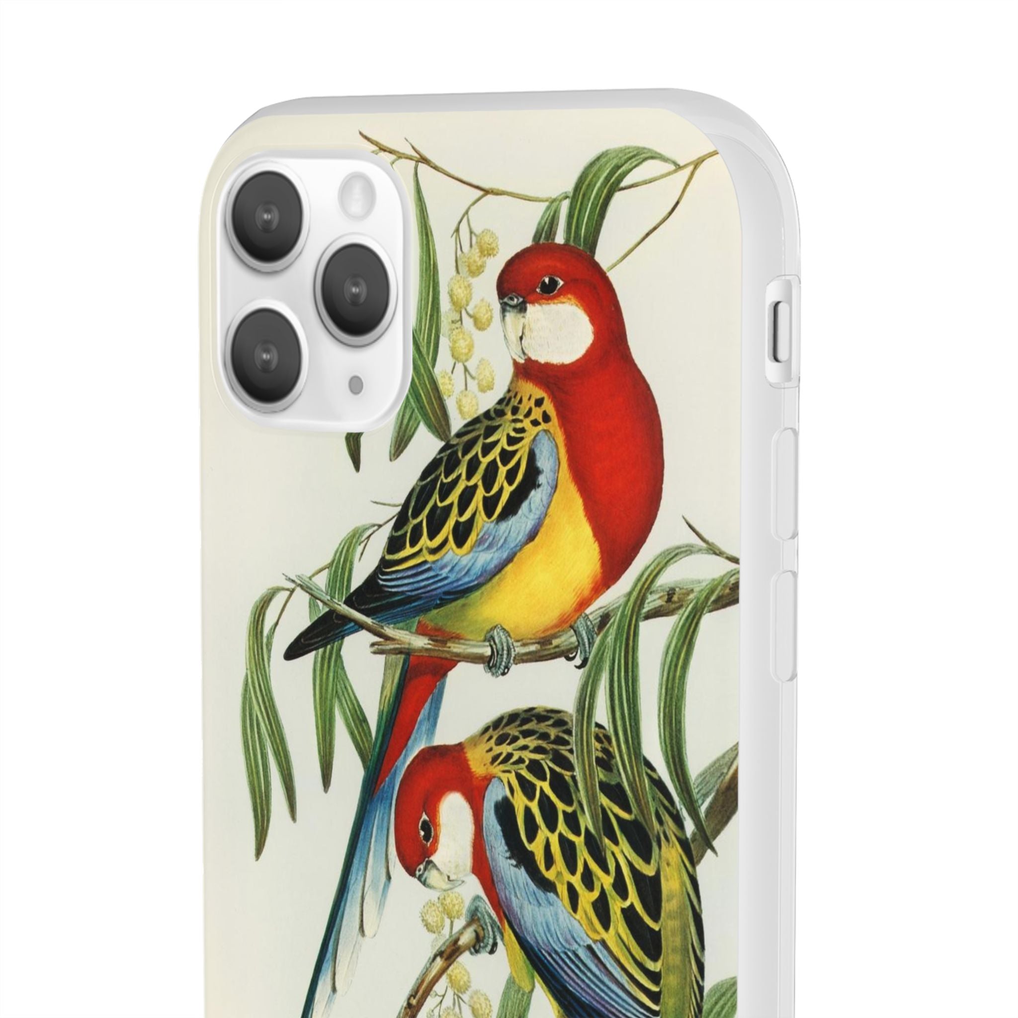 Rosehill Parakeet by Elizabeth Gould - Flexi Case