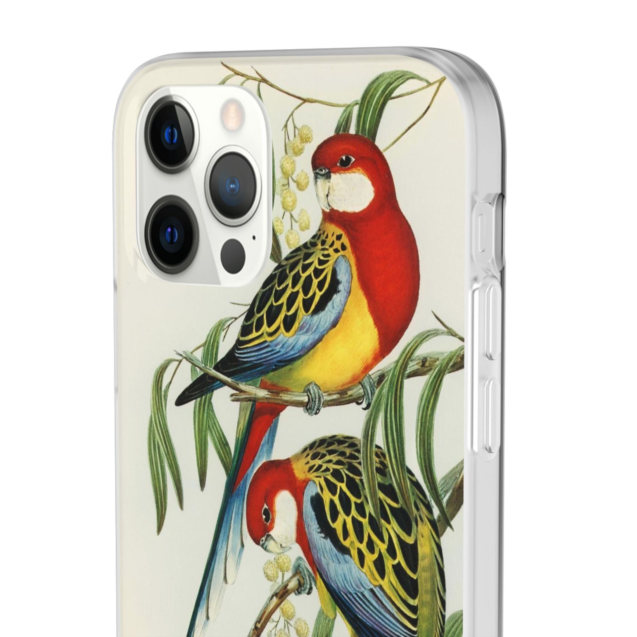 Rosehill Parakeet by Elizabeth Gould - Flexi Case