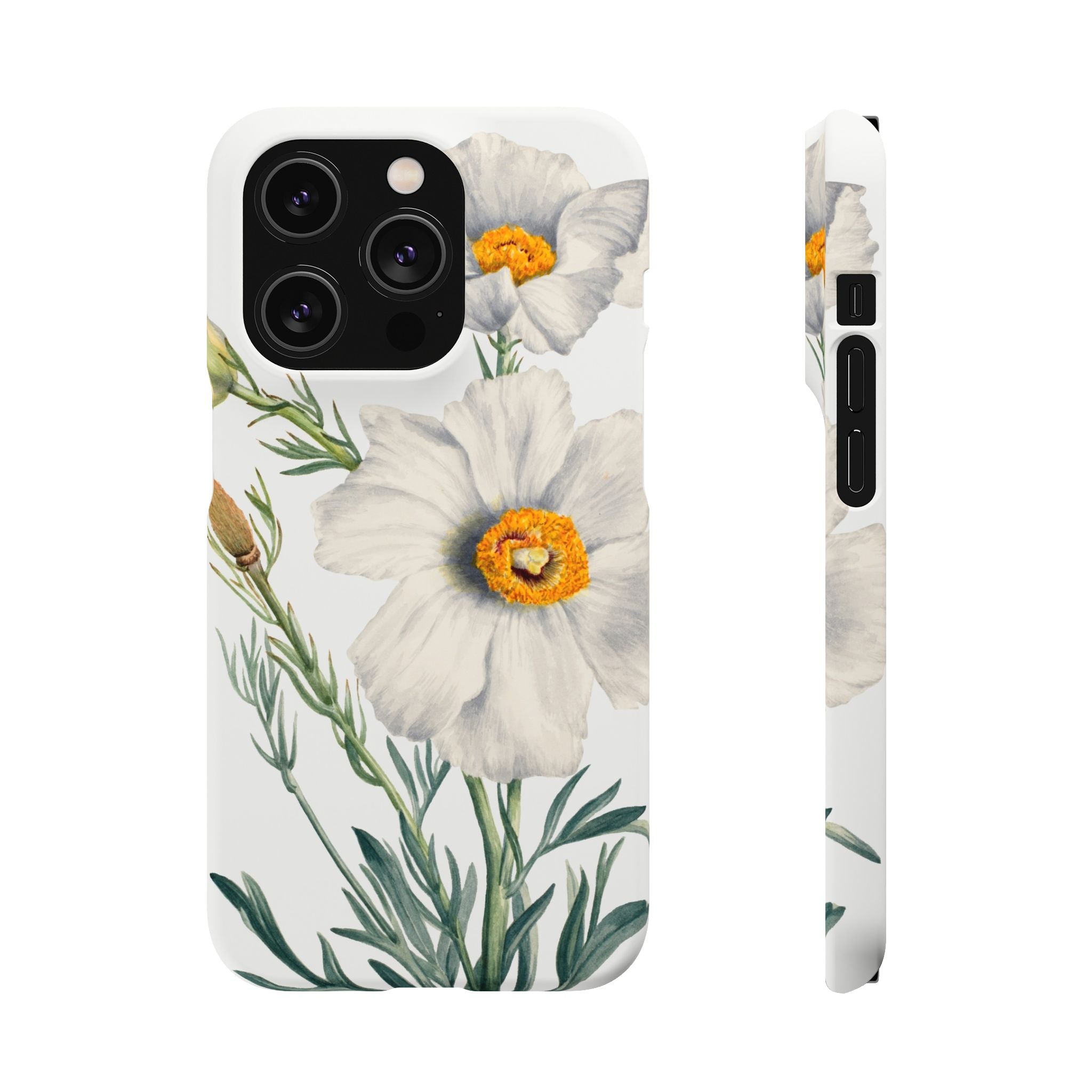 Matilija Poppy by Mary Vaux Walcott - Snap Case