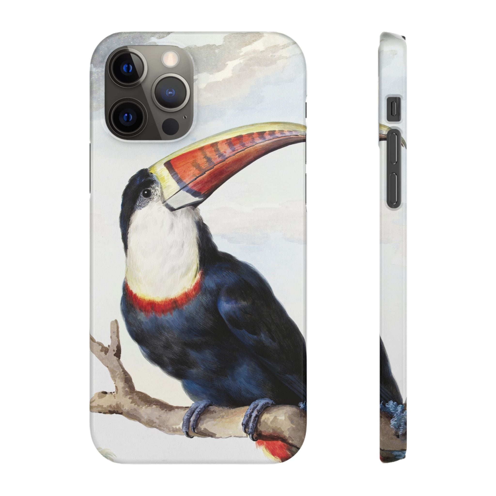 Red-billed Toucan (1748) - Snap Case