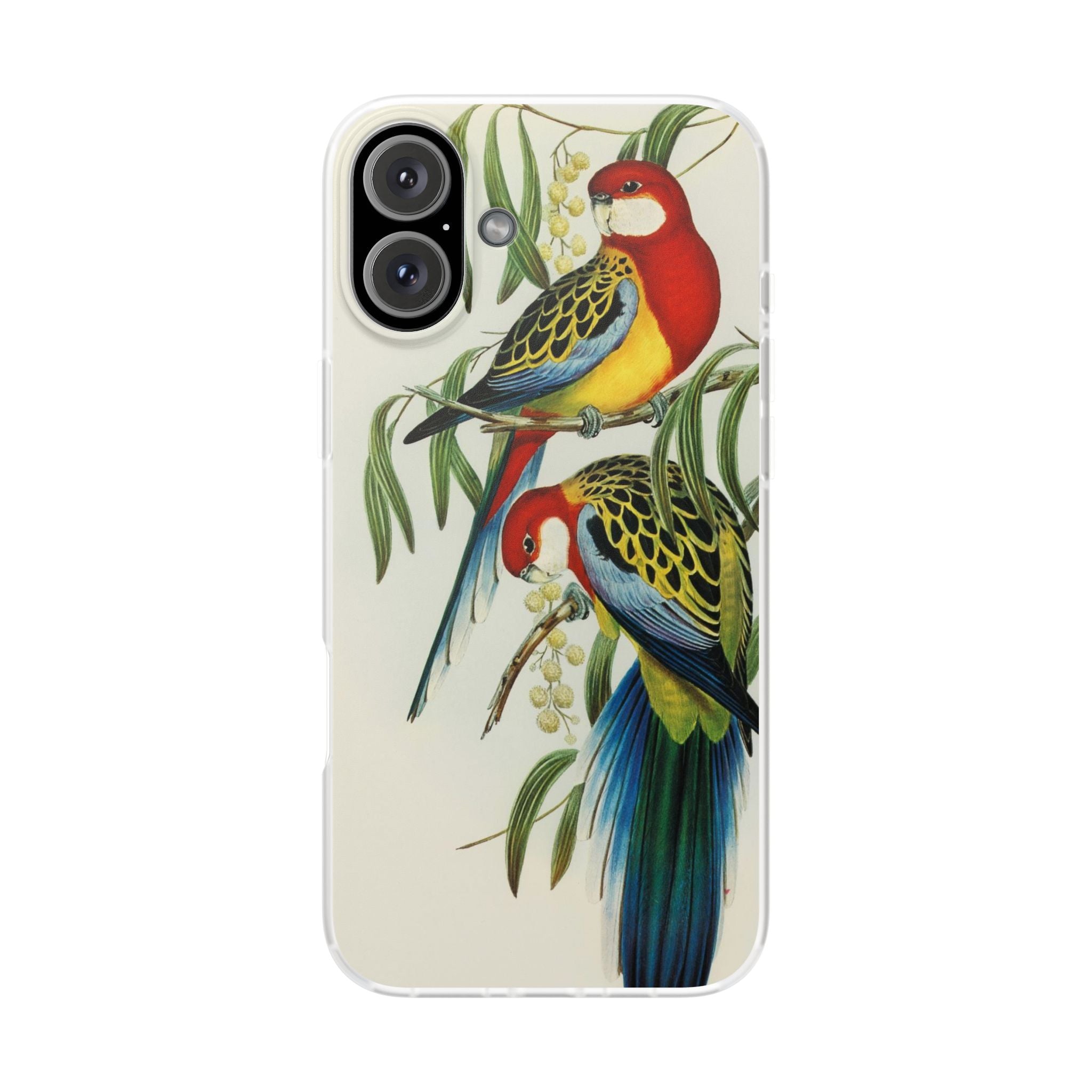 Rosehill Parakeet by Elizabeth Gould - Flexi Case