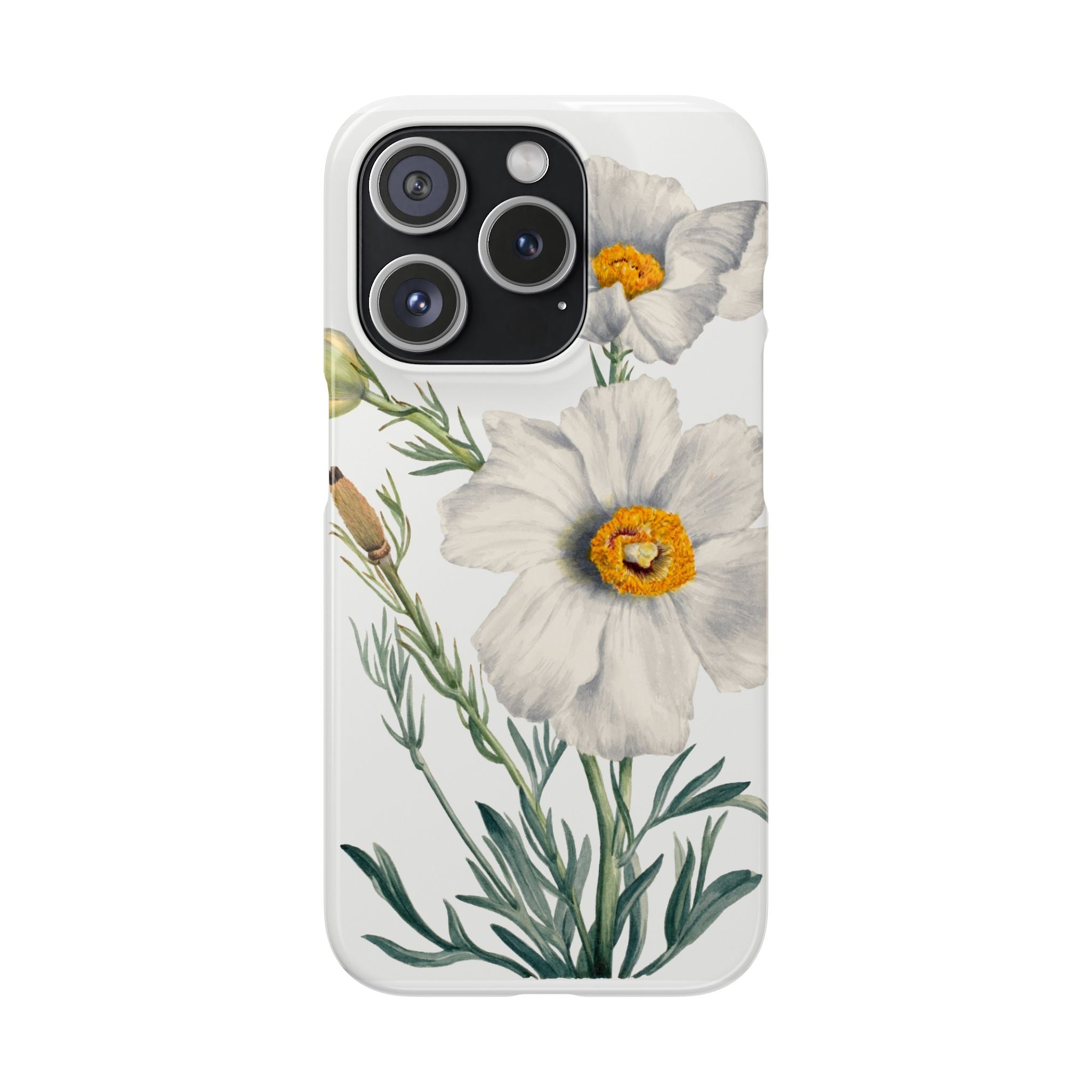 Matilija Poppy by Mary Vaux Walcott - Snap Case