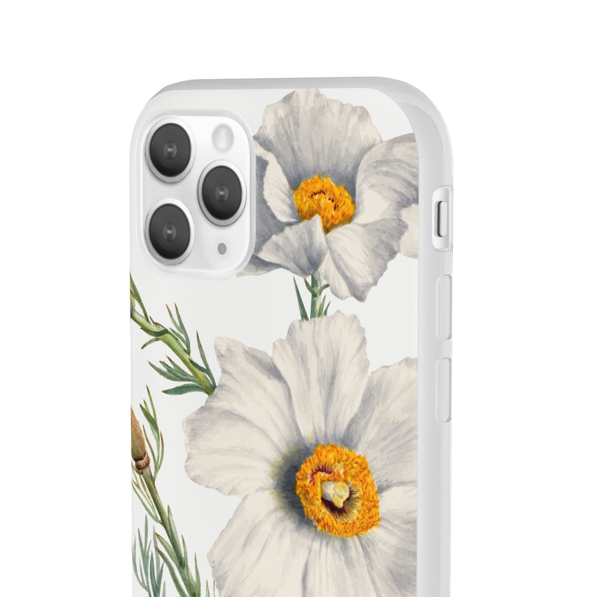 Matilija Poppy by Mary Vaux Walcott - Flexi Case