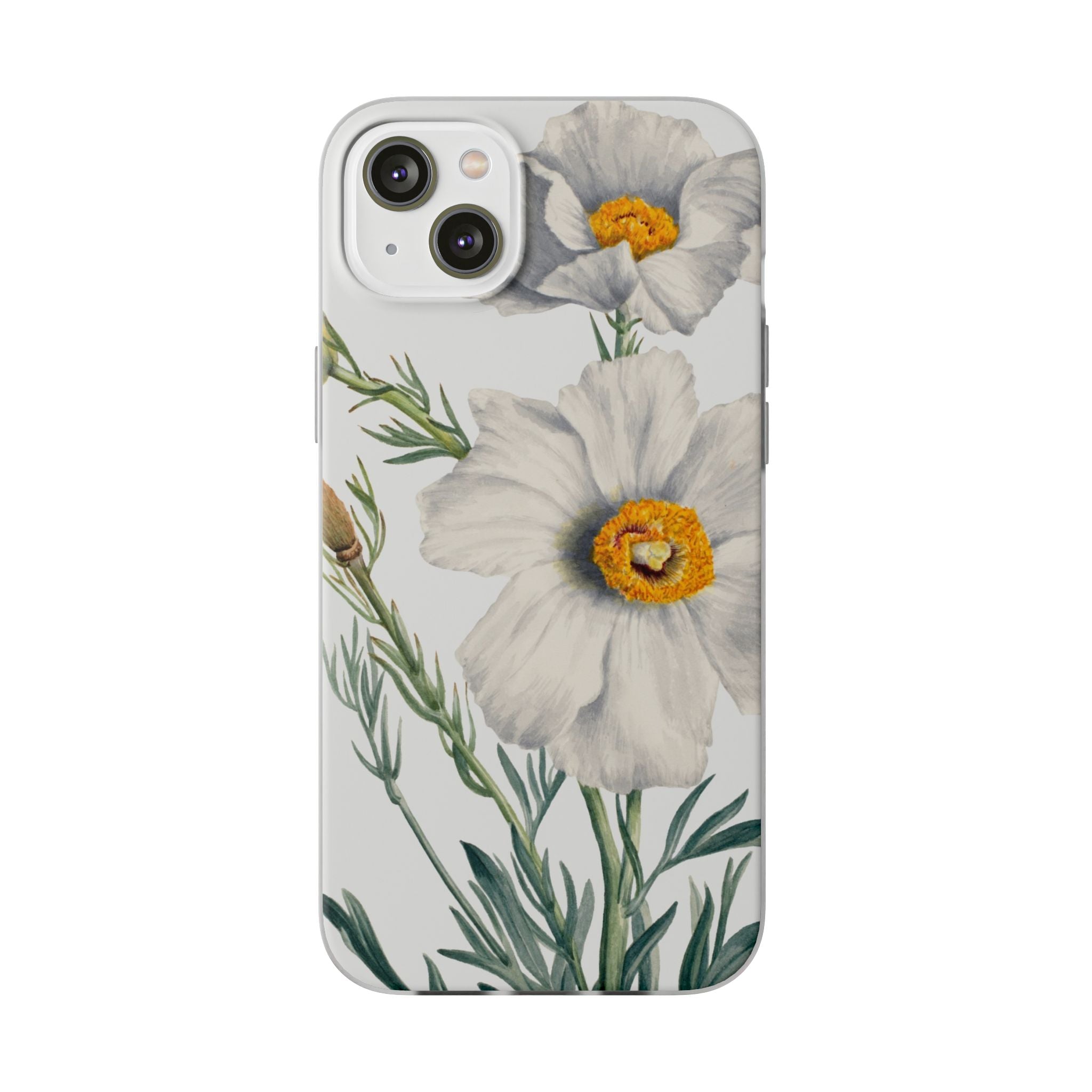 Matilija Poppy by Mary Vaux Walcott - Flexi Case