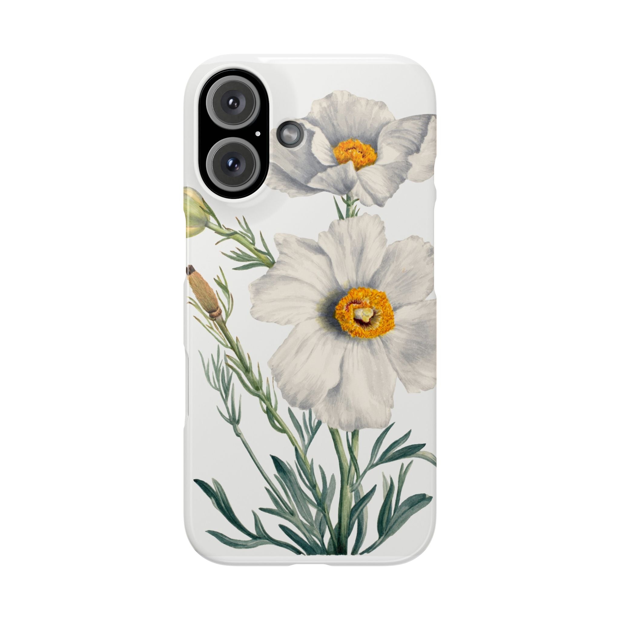 Matilija Poppy by Mary Vaux Walcott - Snap Case