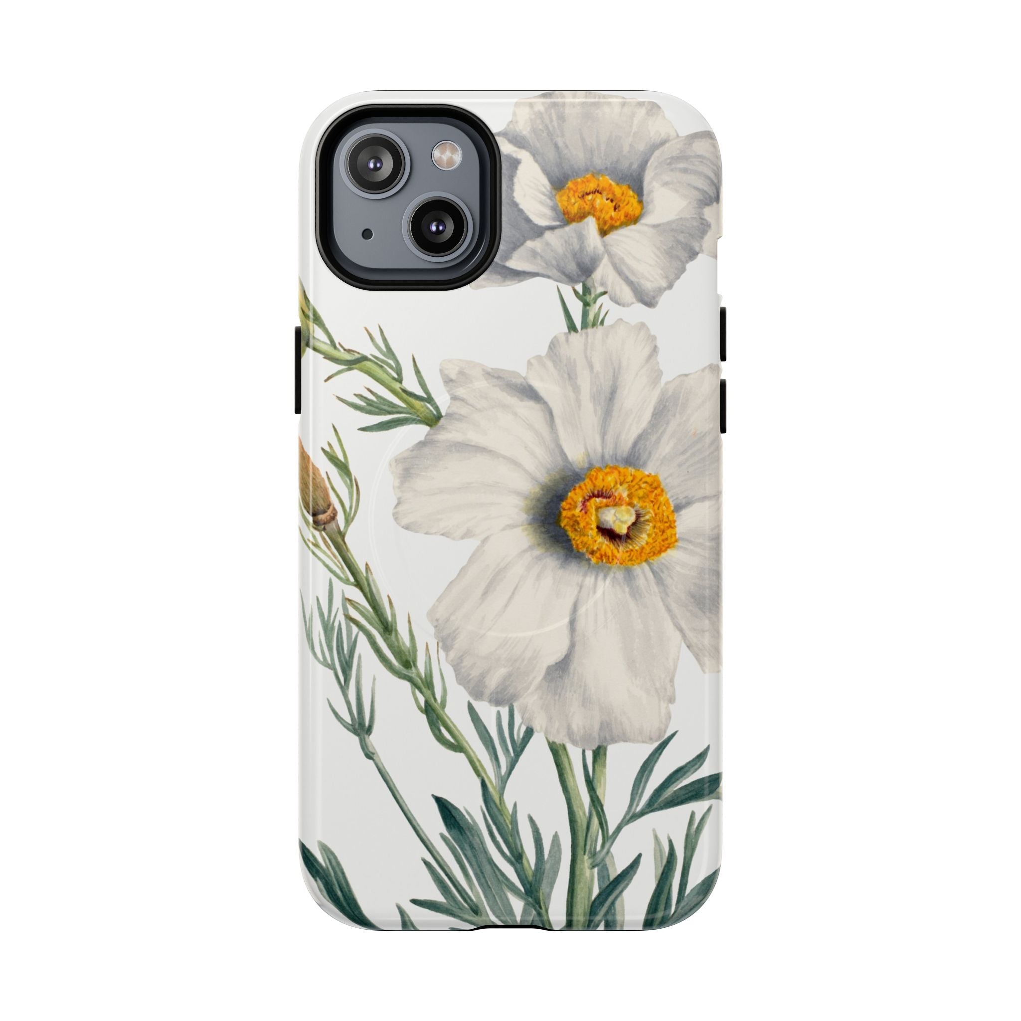 Matilija Poppy by Mary Vaux Walcott - Tough Magnetic Case