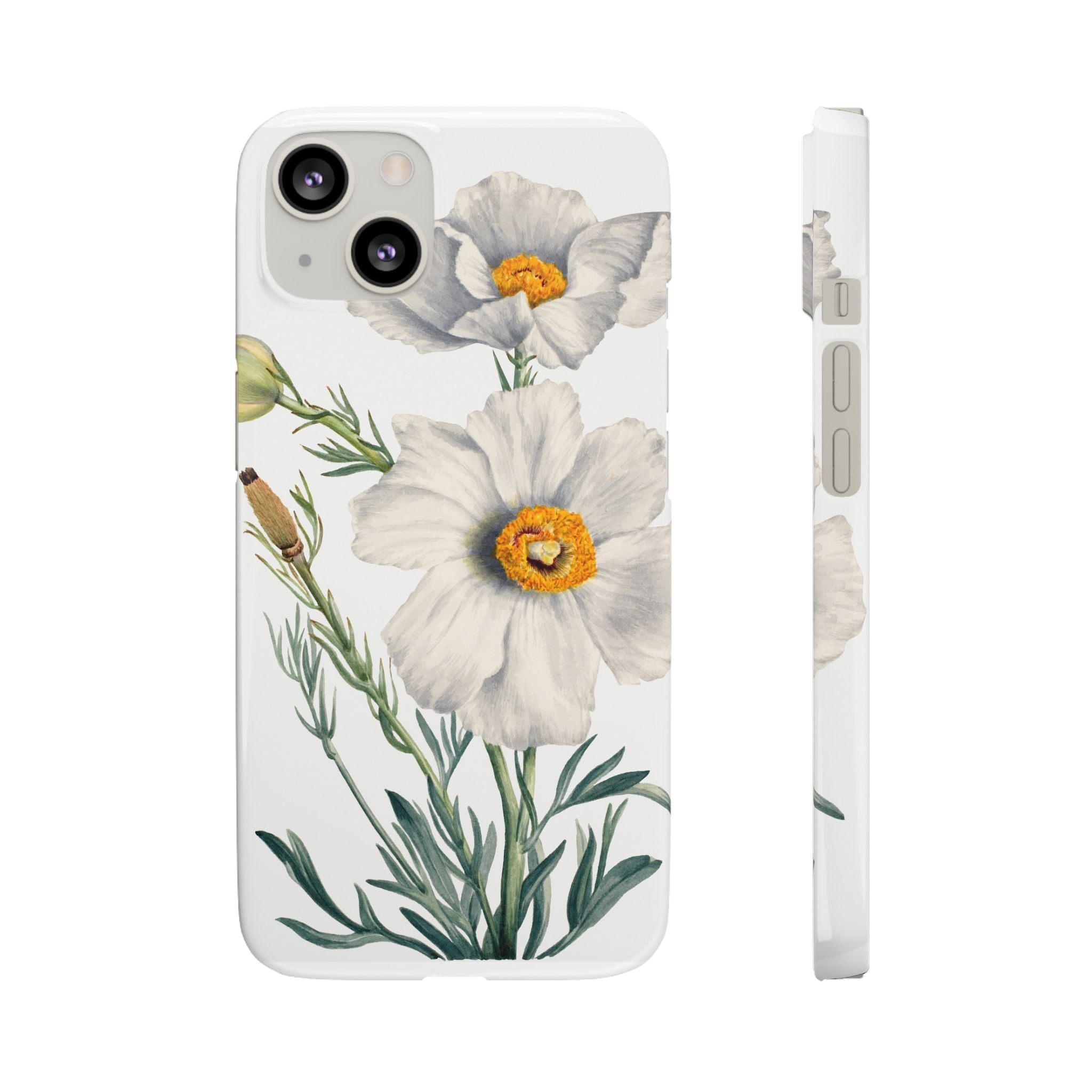 Matilija Poppy by Mary Vaux Walcott - Snap Case