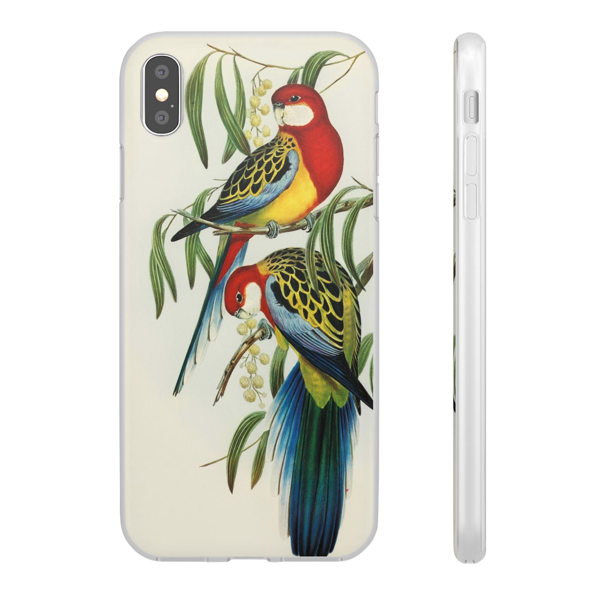 Rosehill Parakeet by Elizabeth Gould - Flexi Case