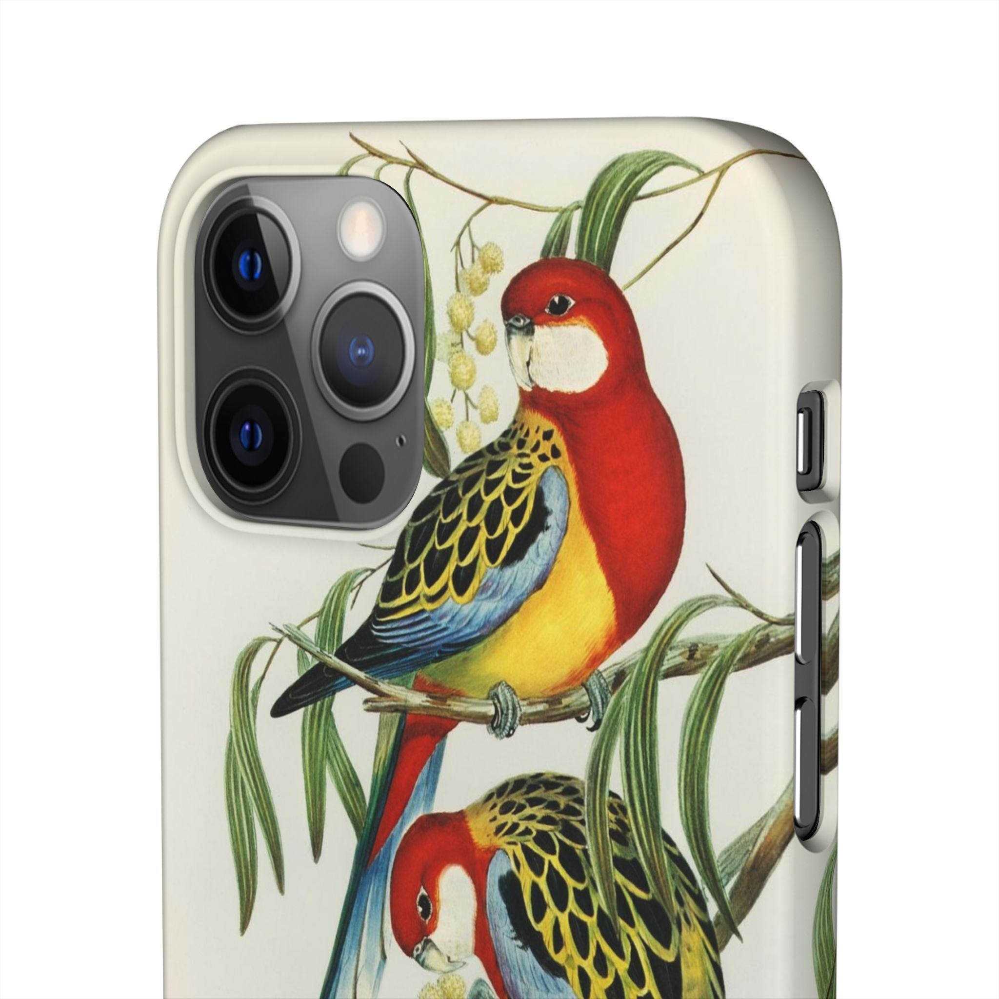 Rosehill Parakeet by Elizabeth Gould - Snap Case