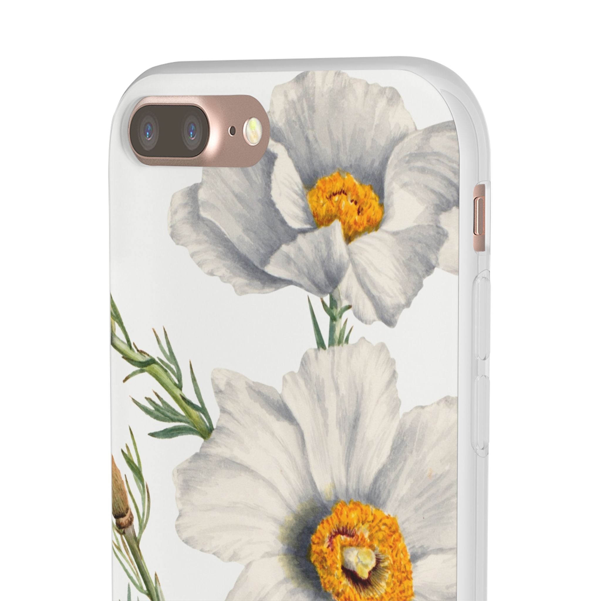 Matilija Poppy by Mary Vaux Walcott - Flexi Case