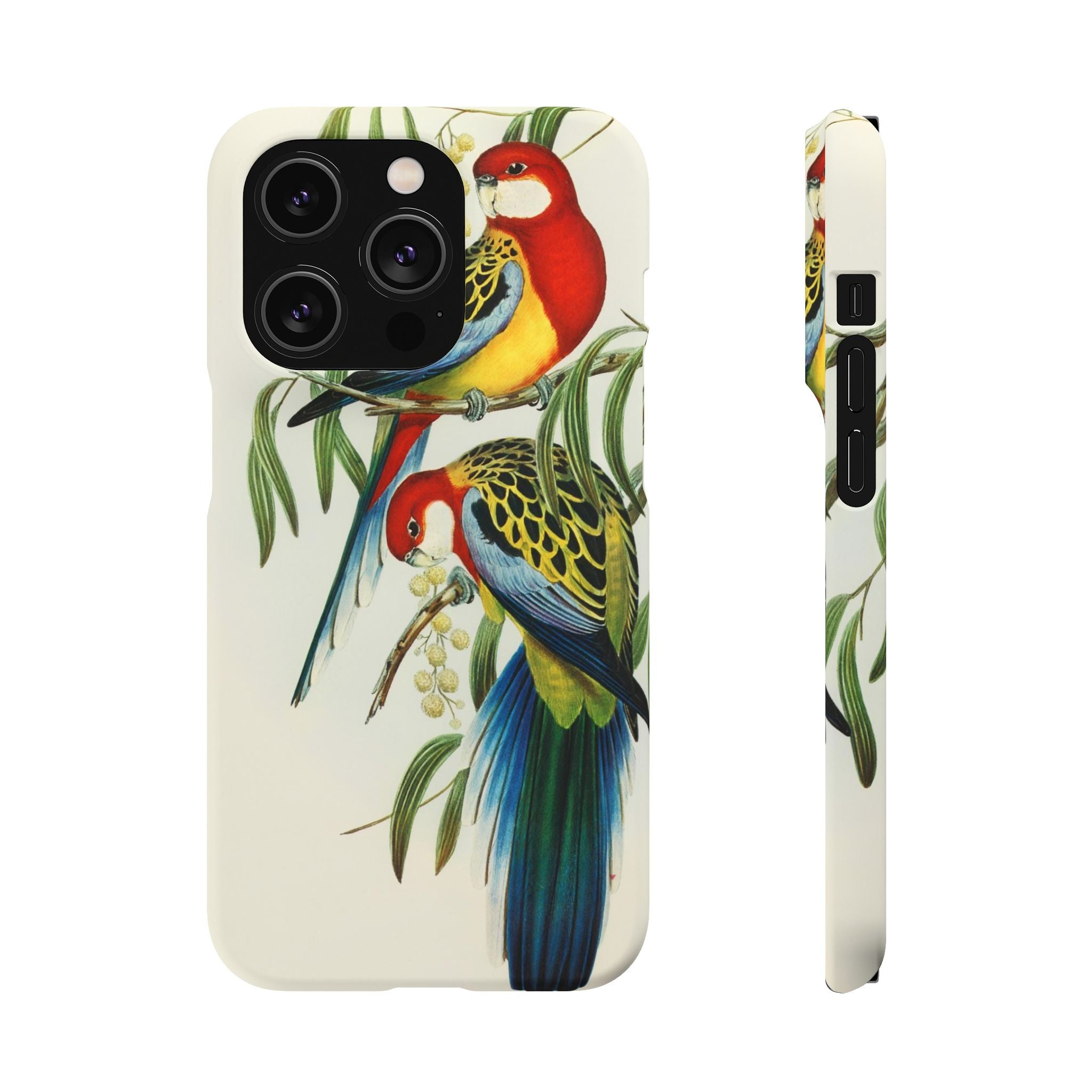 Rosehill Parakeet by Elizabeth Gould - Snap Case