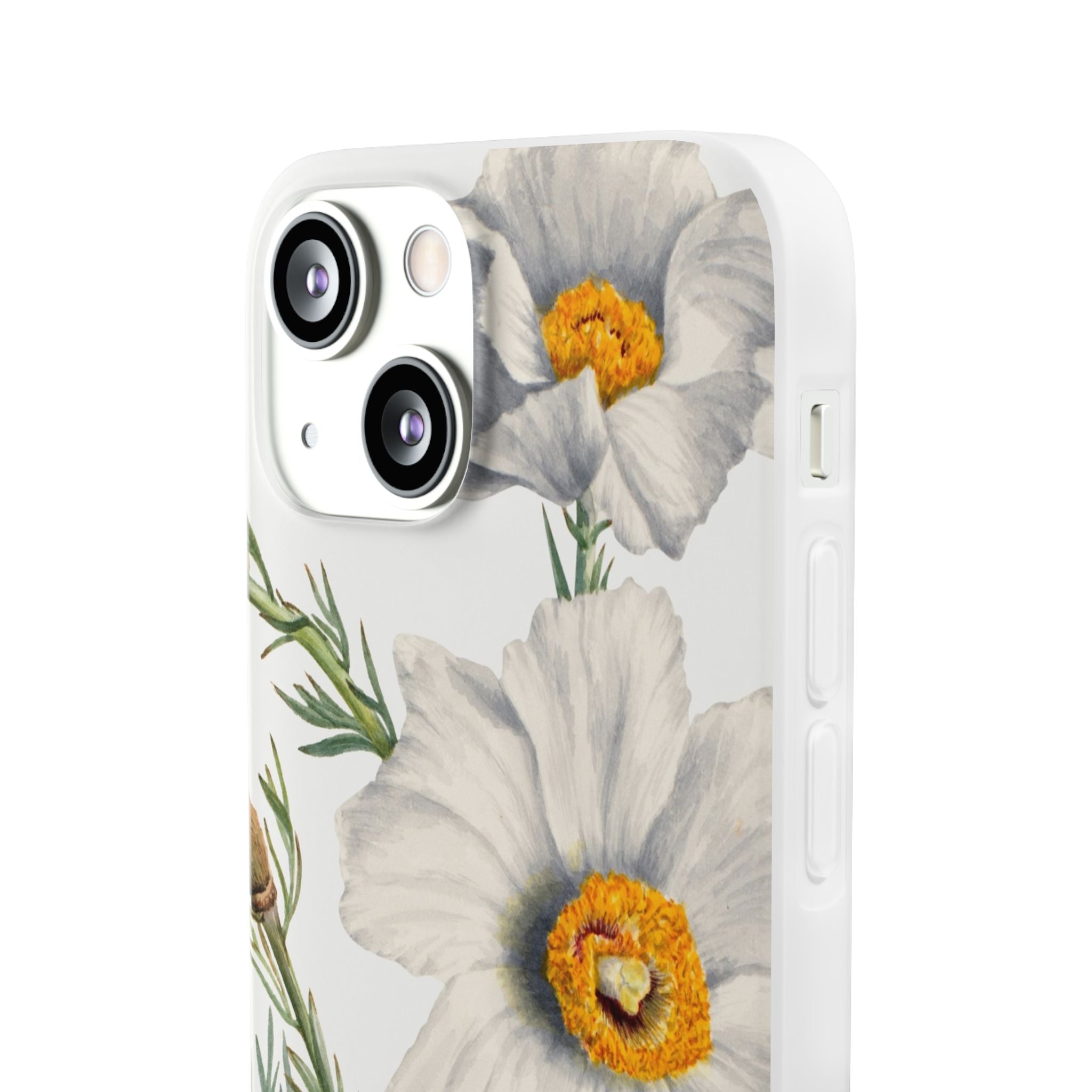 Matilija Poppy by Mary Vaux Walcott - Flexi Case