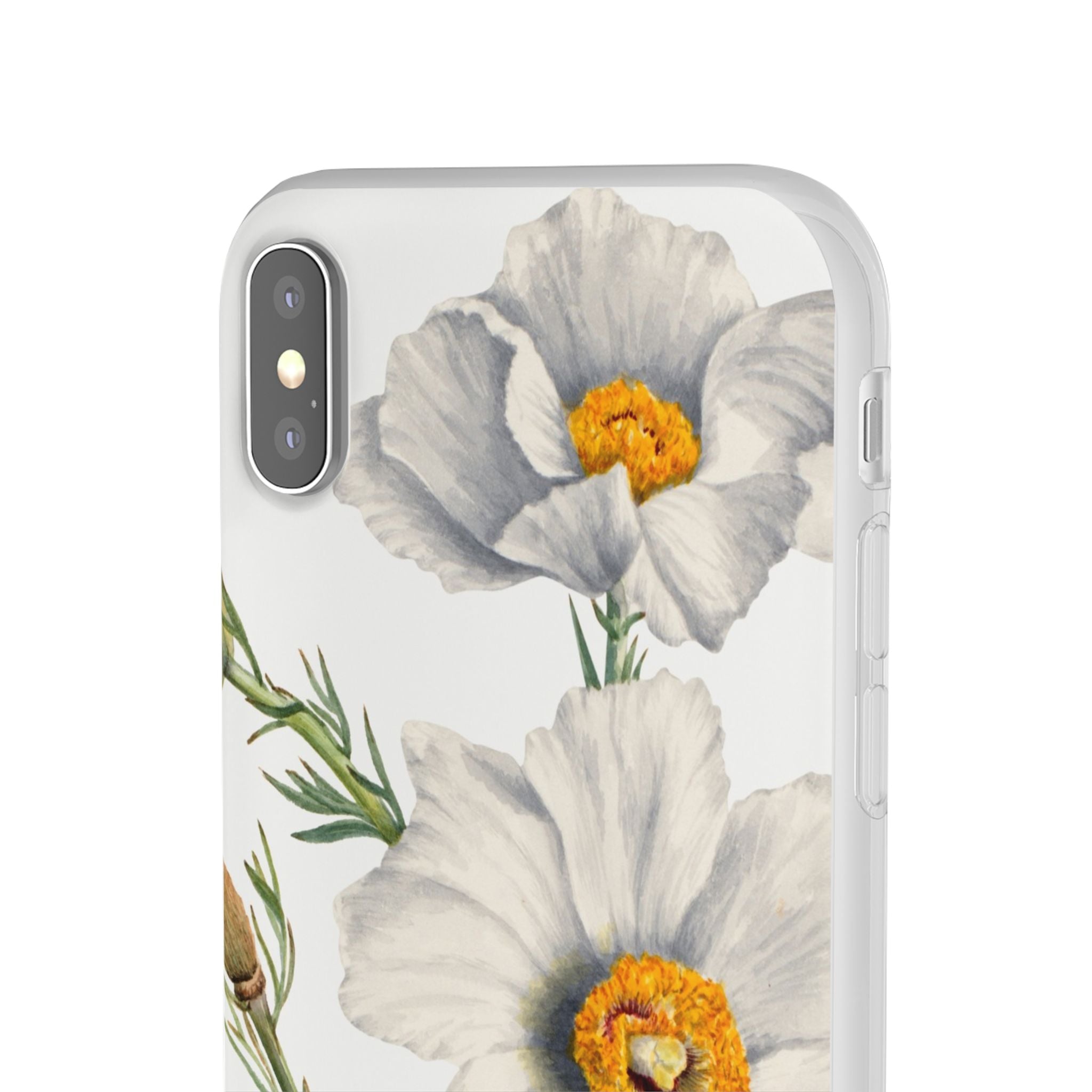 Matilija Poppy by Mary Vaux Walcott - Flexi Case