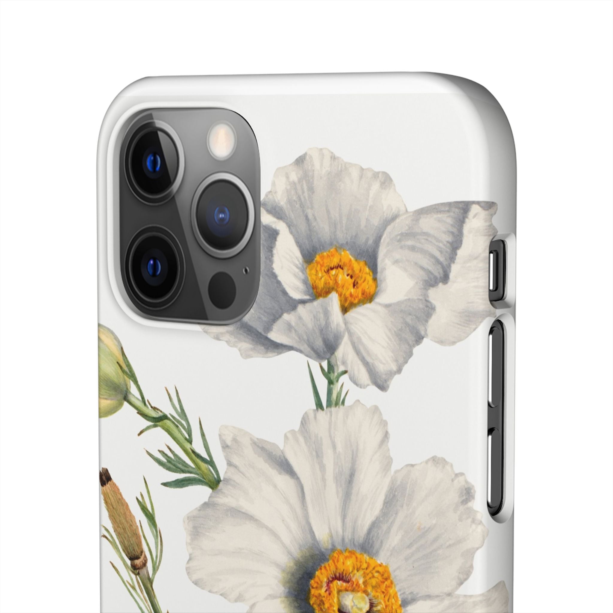 Matilija Poppy by Mary Vaux Walcott - Snap Case