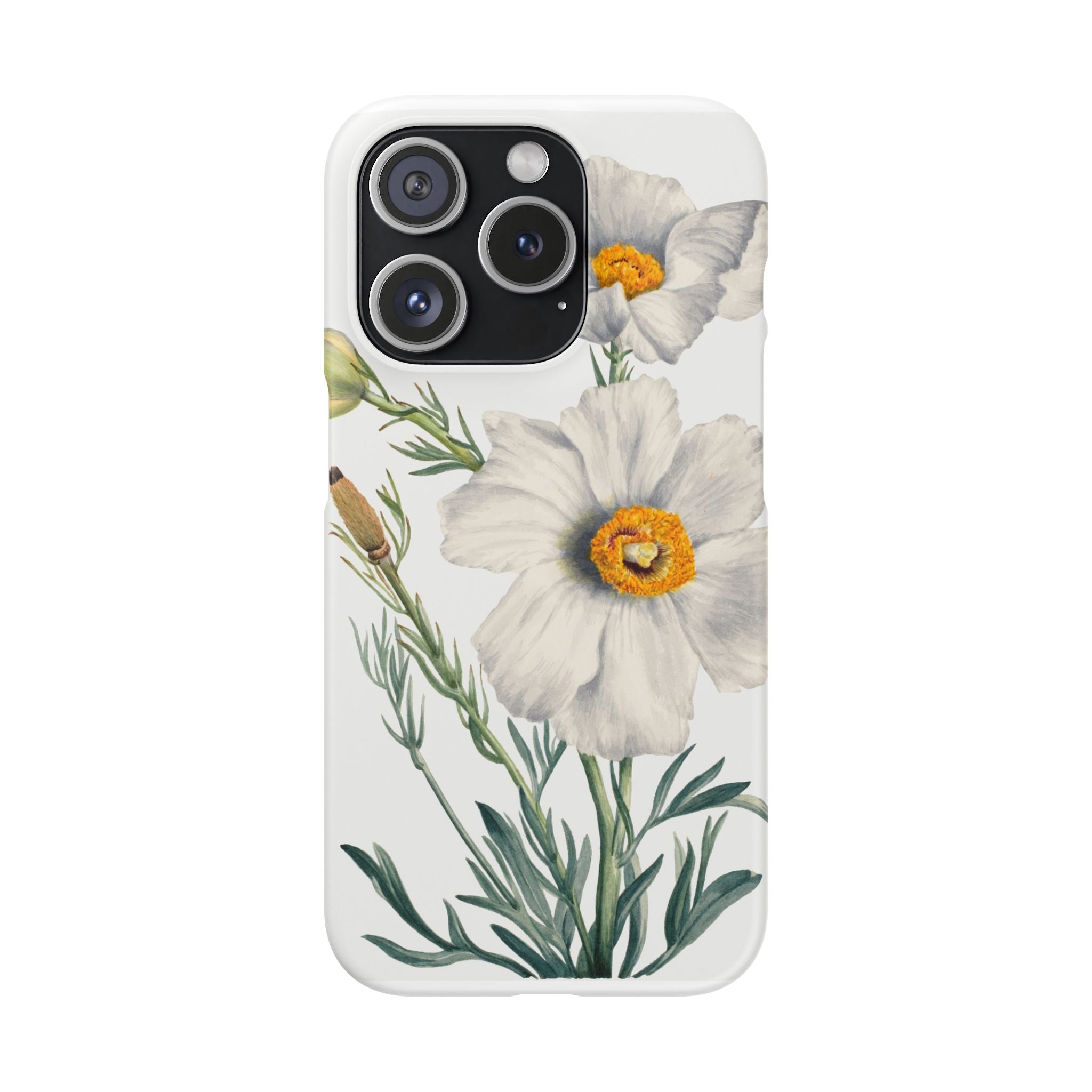 Matilija Poppy by Mary Vaux Walcott - Snap Case