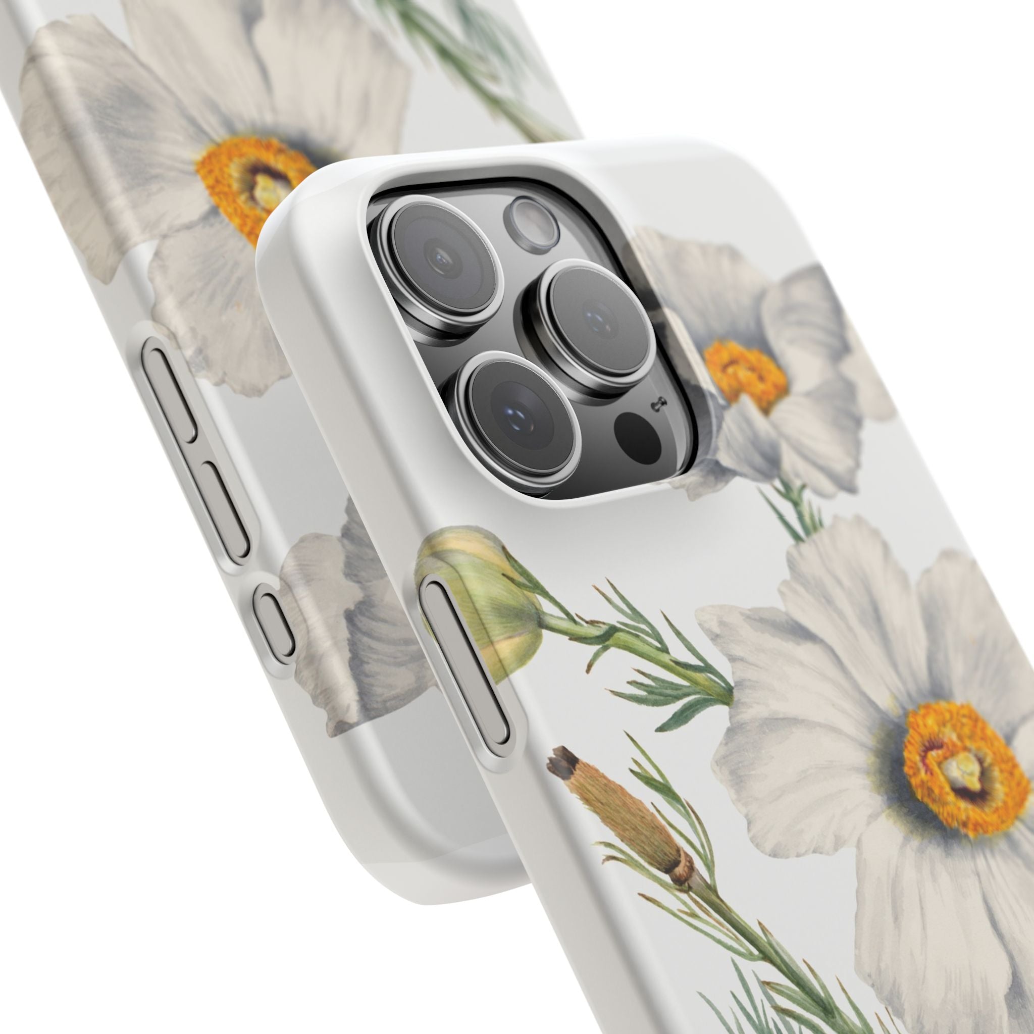 Matilija Poppy by Mary Vaux Walcott - Snap Case