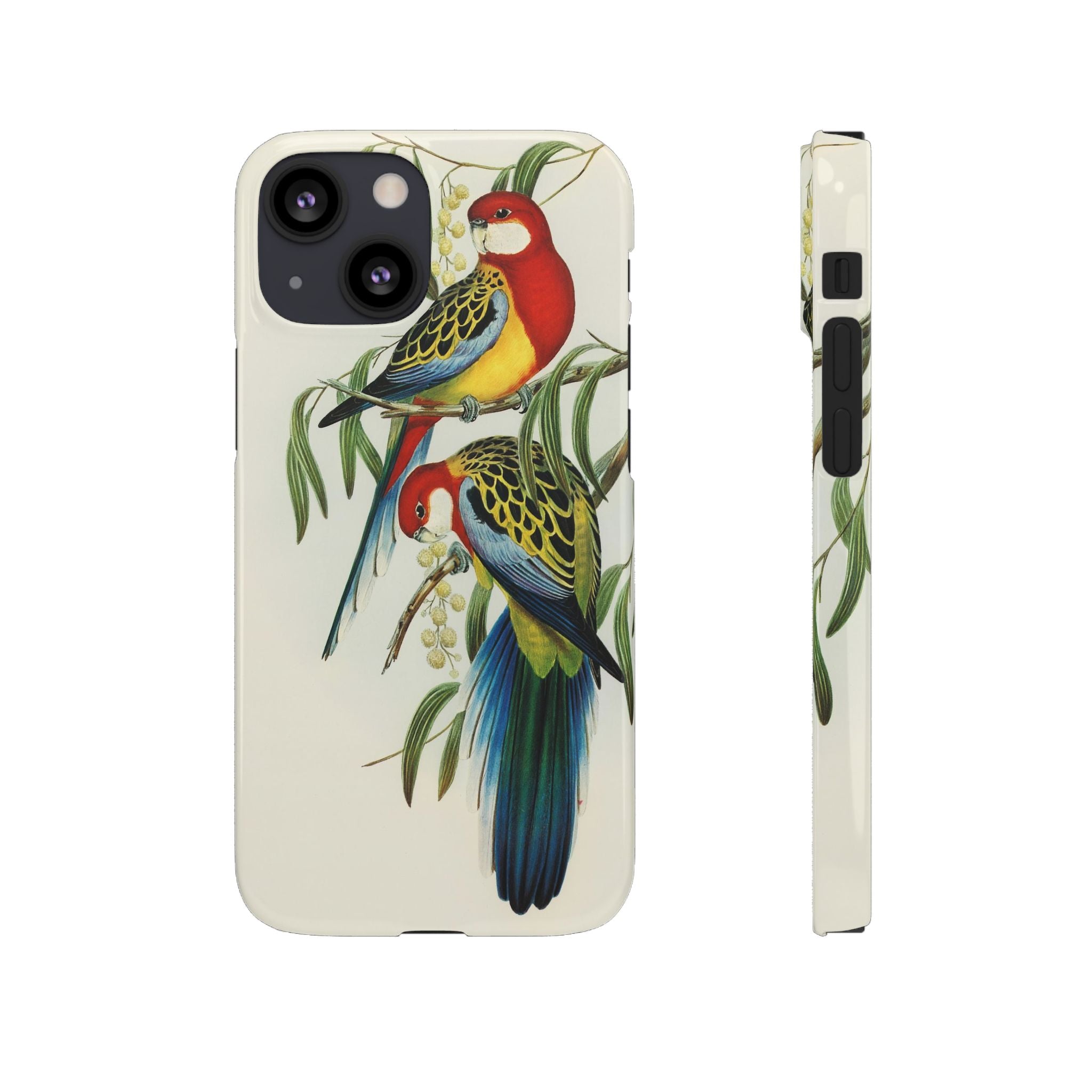 Rosehill Parakeet by Elizabeth Gould - Snap Case