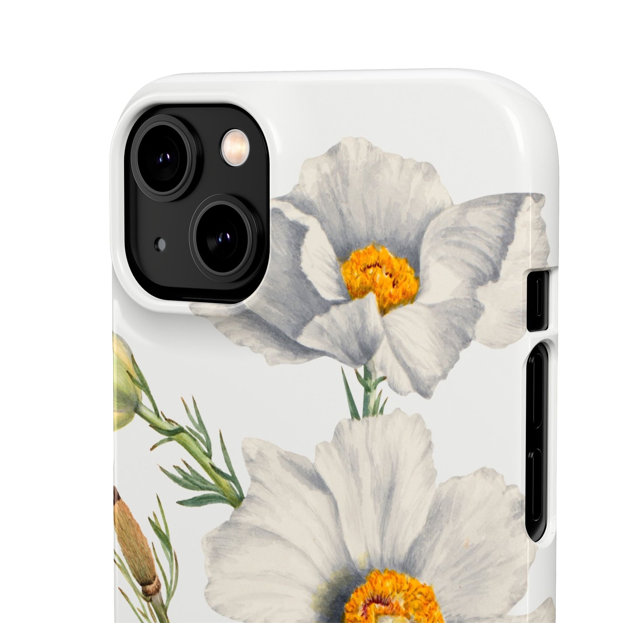 Matilija Poppy by Mary Vaux Walcott - Snap Case