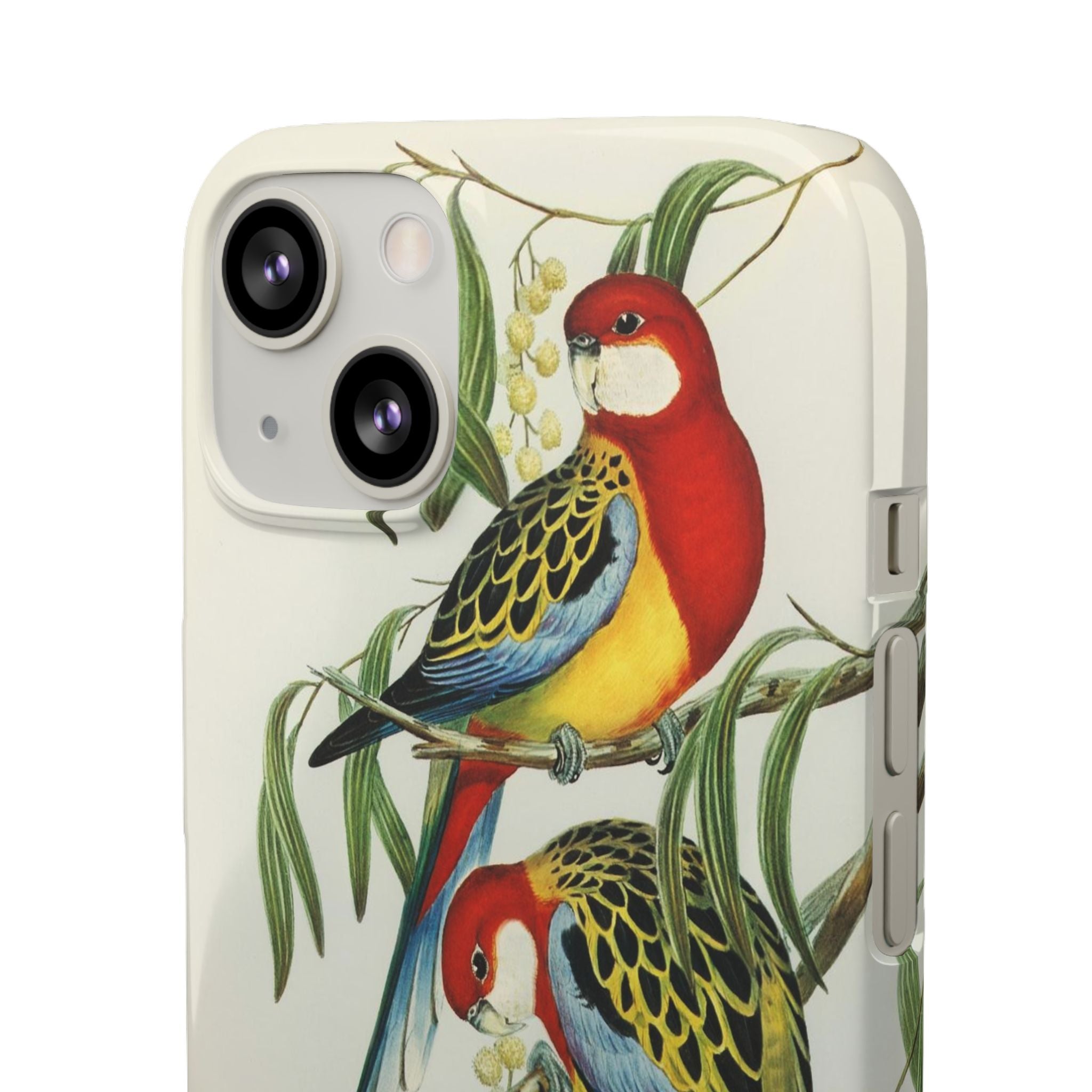 Rosehill Parakeet by Elizabeth Gould - Snap Case