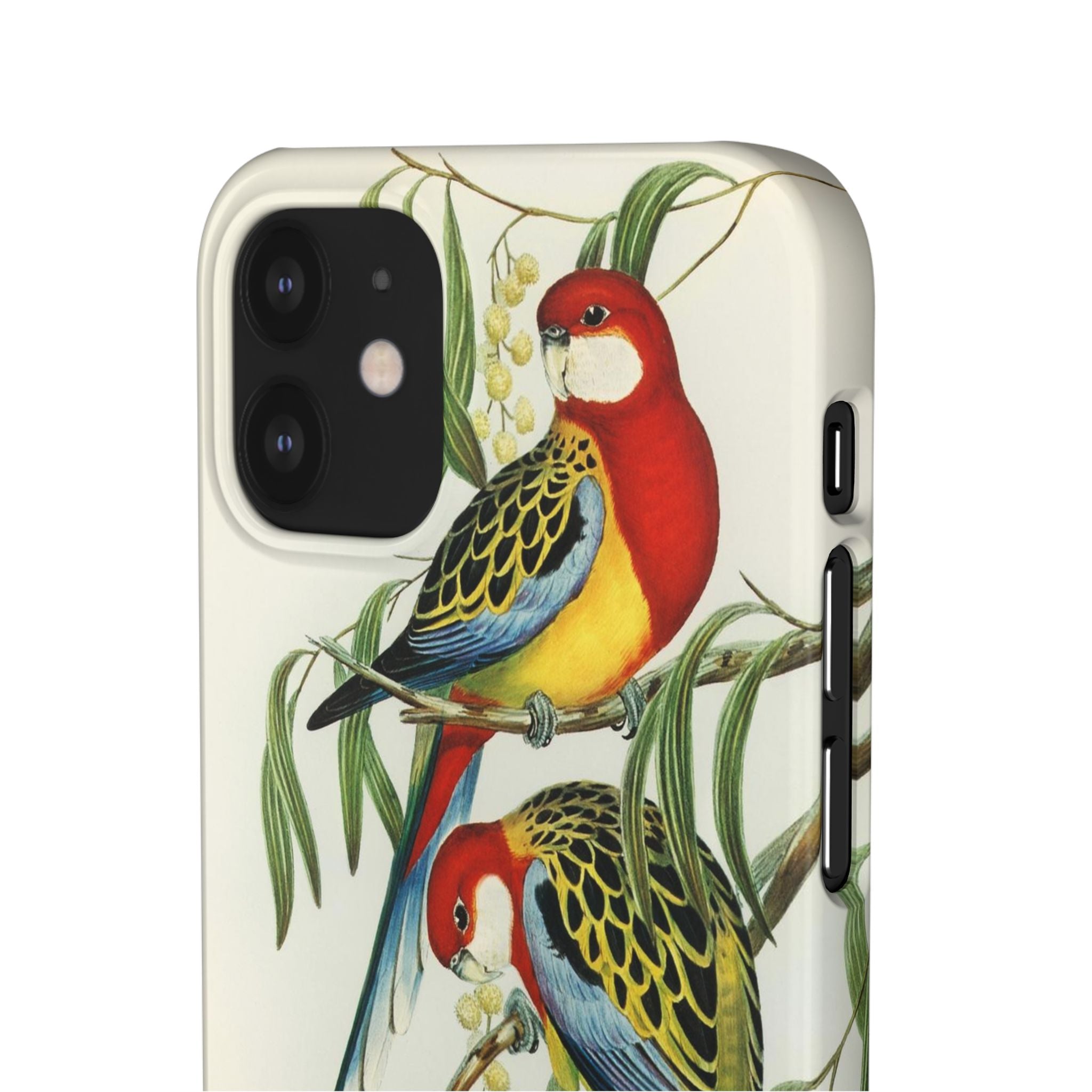 Rosehill Parakeet by Elizabeth Gould - Snap Case