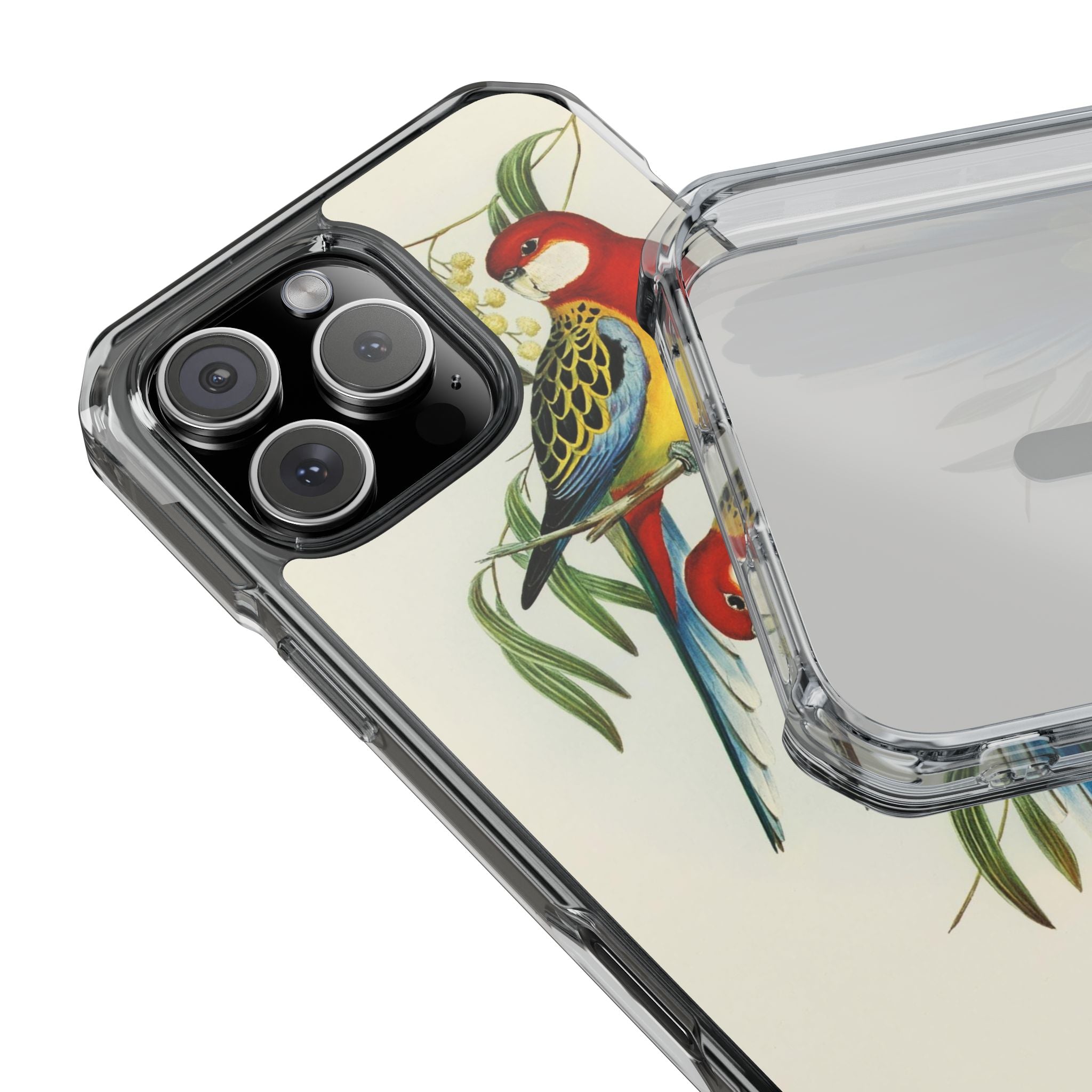 Rosehill Parakeet by Elizabeth Gould - Magnetic Clear Impact Case