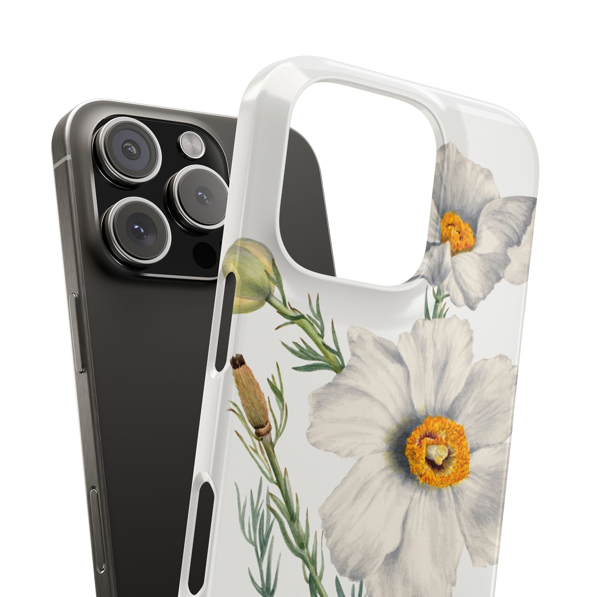 Matilija Poppy by Mary Vaux Walcott - Snap Case