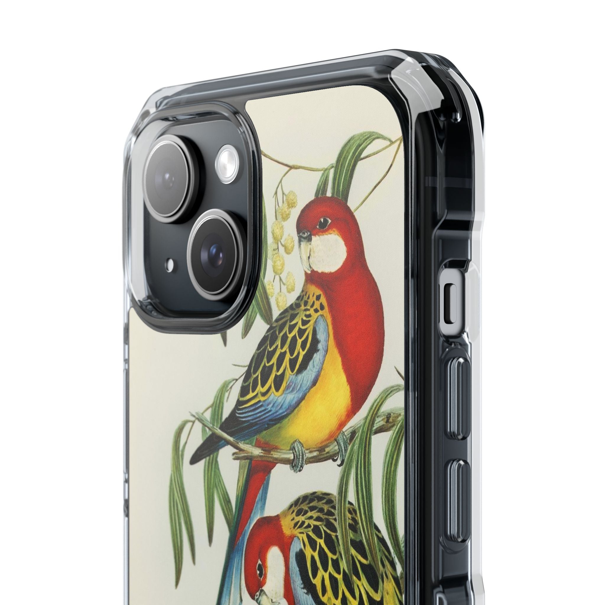 Rosehill Parakeet by Elizabeth Gould - Magnetic Clear Impact Case